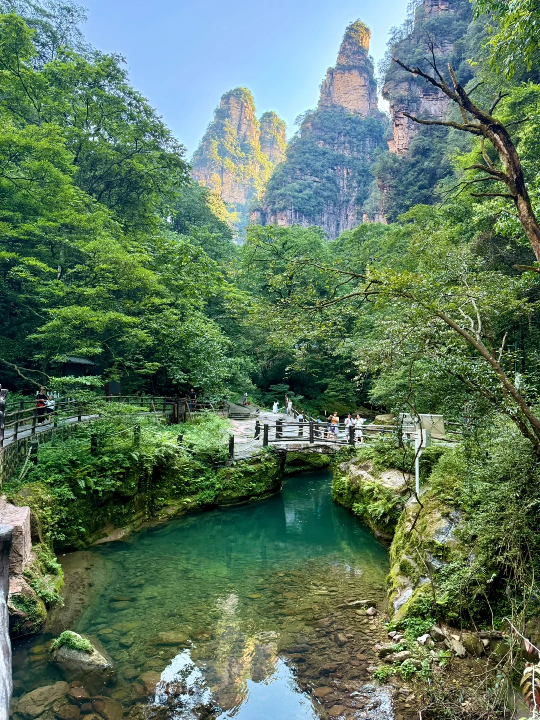 张家界4天3晚刚回！真心提醒还未出行的😓……