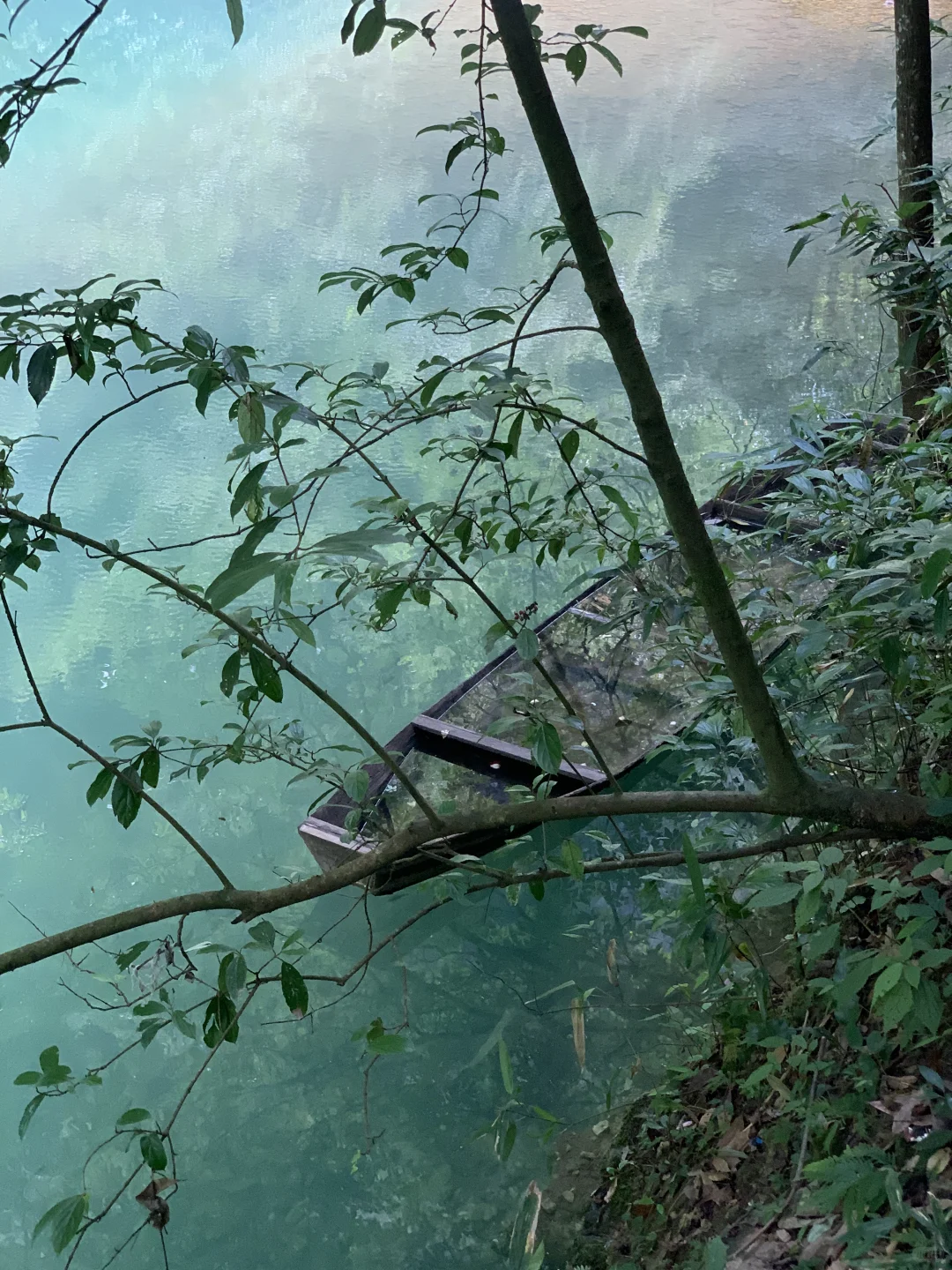 张家界大峡谷 | 神级live图