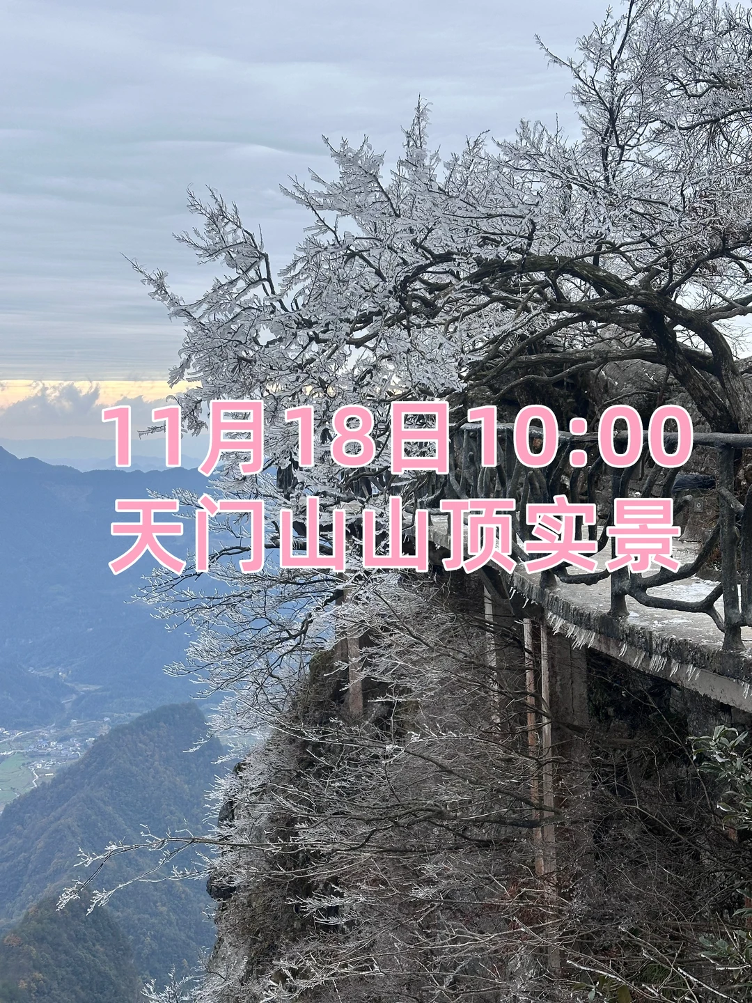 11月18日张家界景区实况