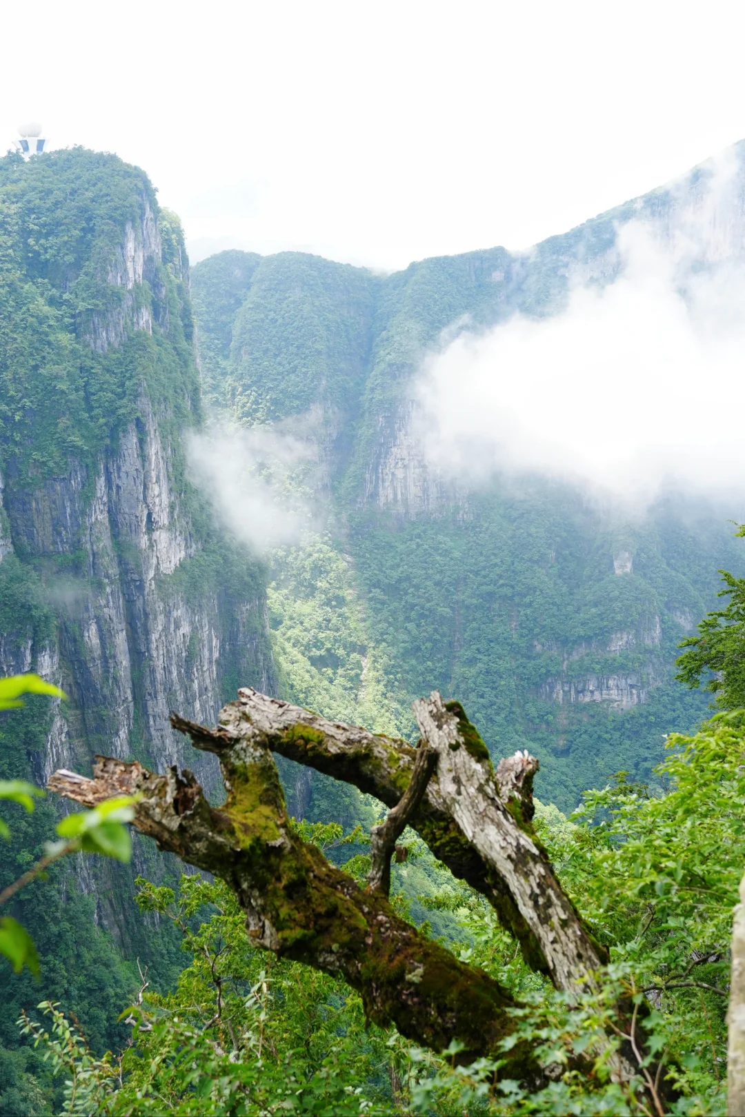 张家界天门山 坐A线索道才能值回票价！！！