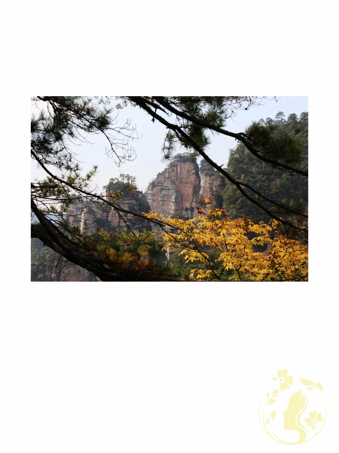 退休后去张家界游玩，我走了一条不寻常的路