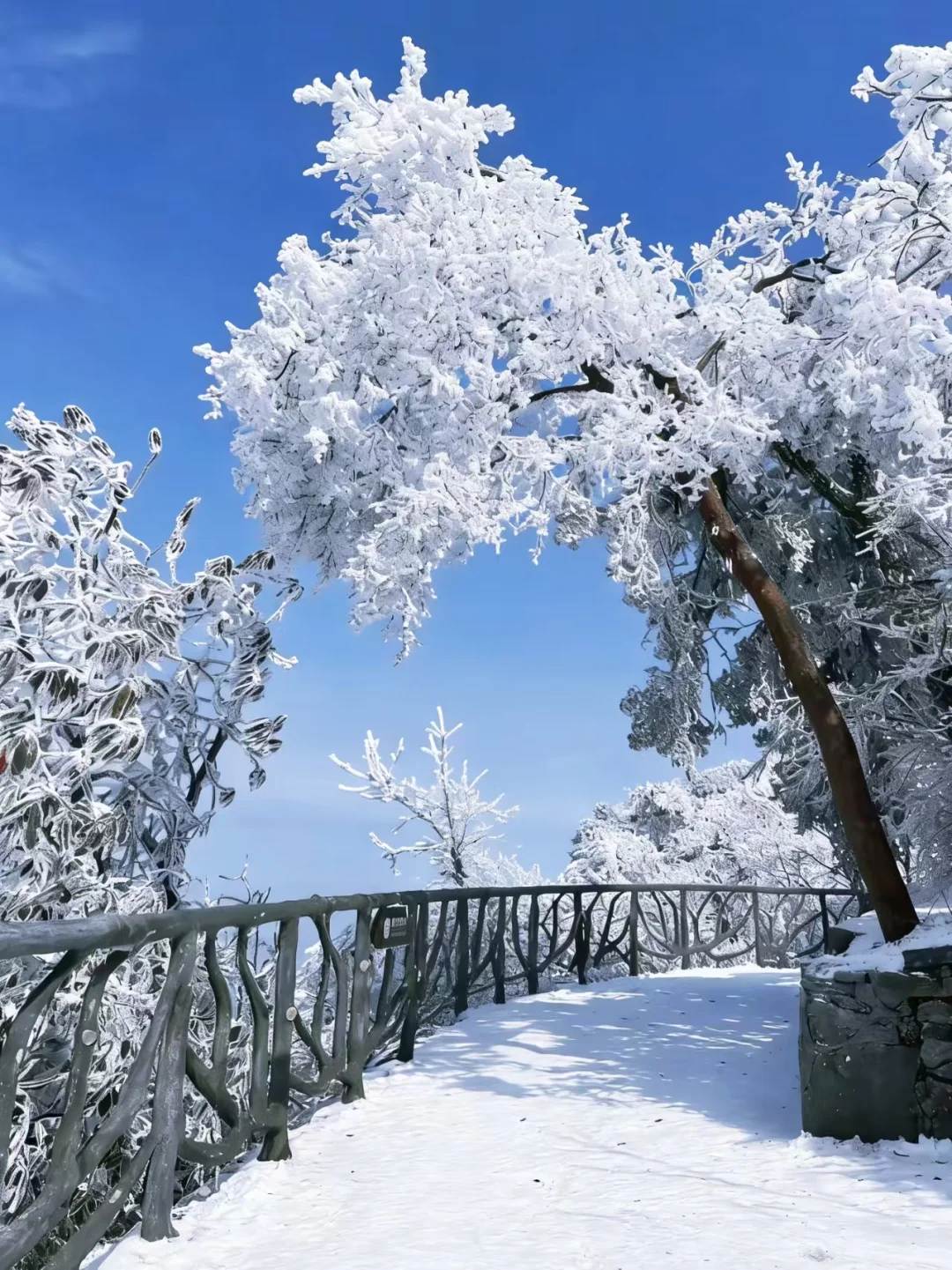 2025张家界冬雪实录❄️两天一夜沉浸式玩雪