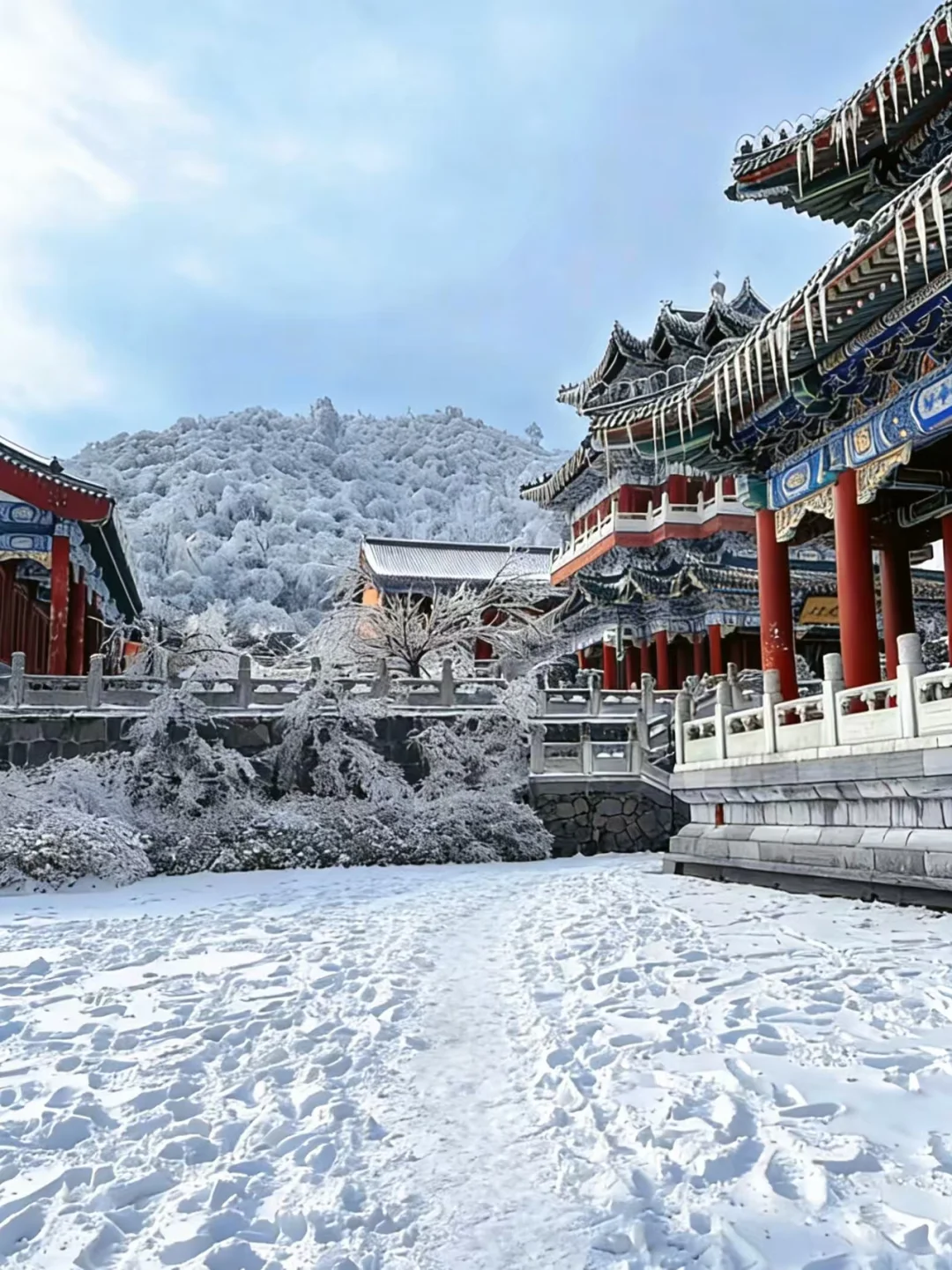 2025张家界冬雪实录❄️两天一夜沉浸式玩雪