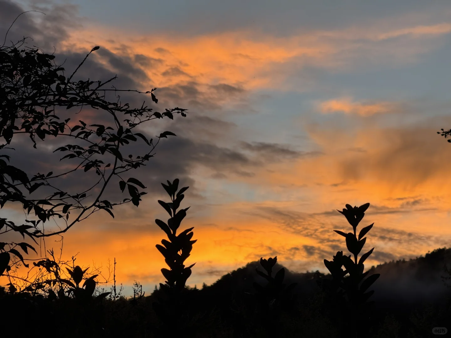 9.15实况 张家界国家森林公园