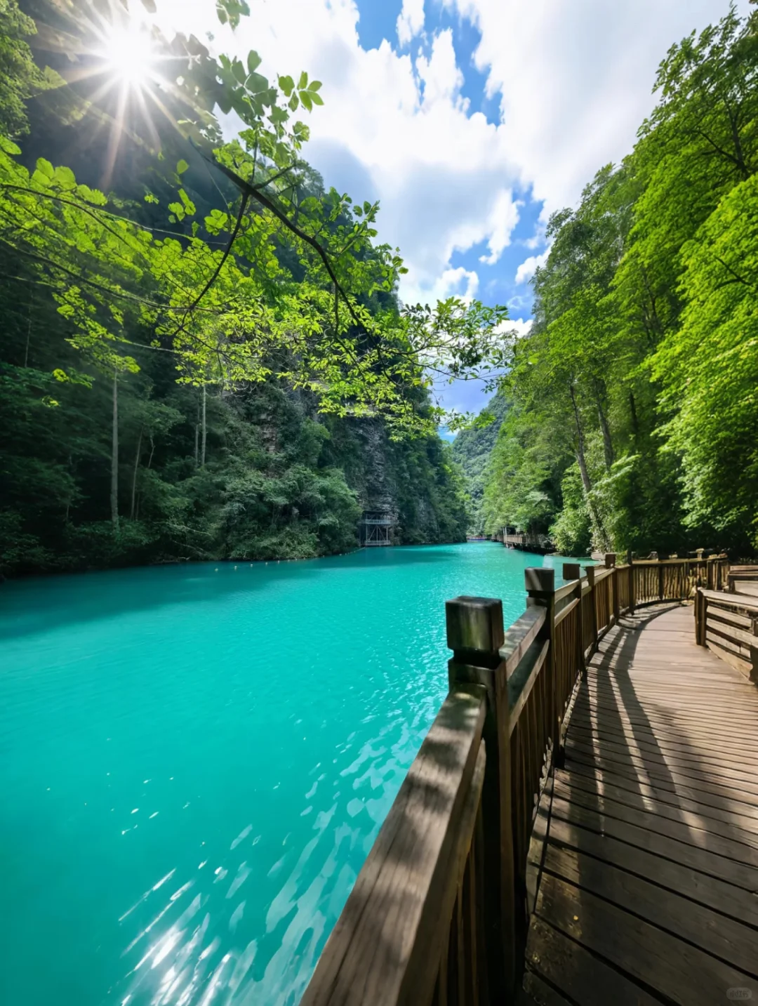 🌿张家界大峡谷｜被低估的治愈系秘境🫧