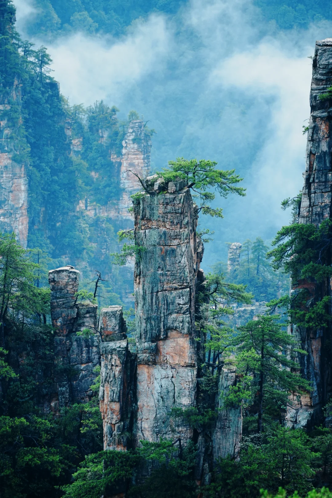 奇峰三千出云，云梦百里藏峰