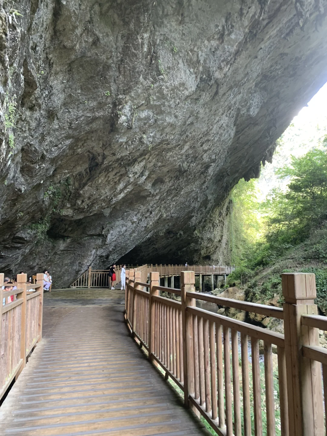 张家界大峡谷 | 神级live图