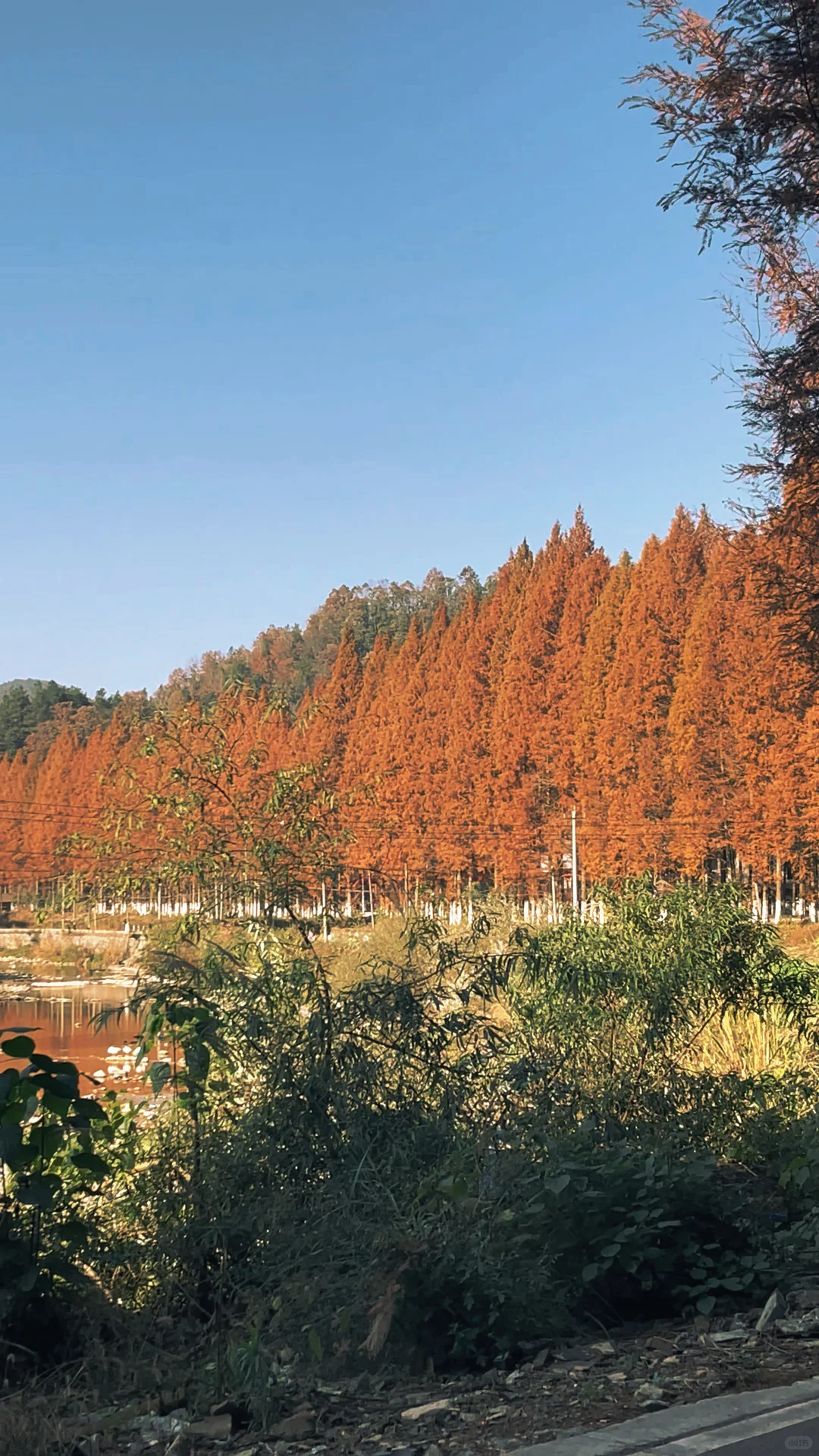 张家界的秋日限定【马头溪】～
