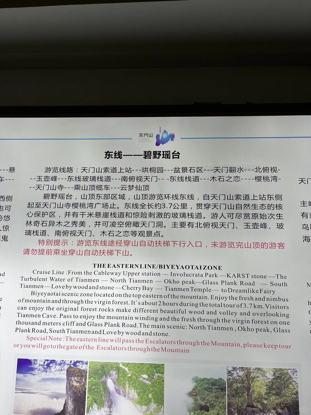 张家界天门山攻略&踩坑实录