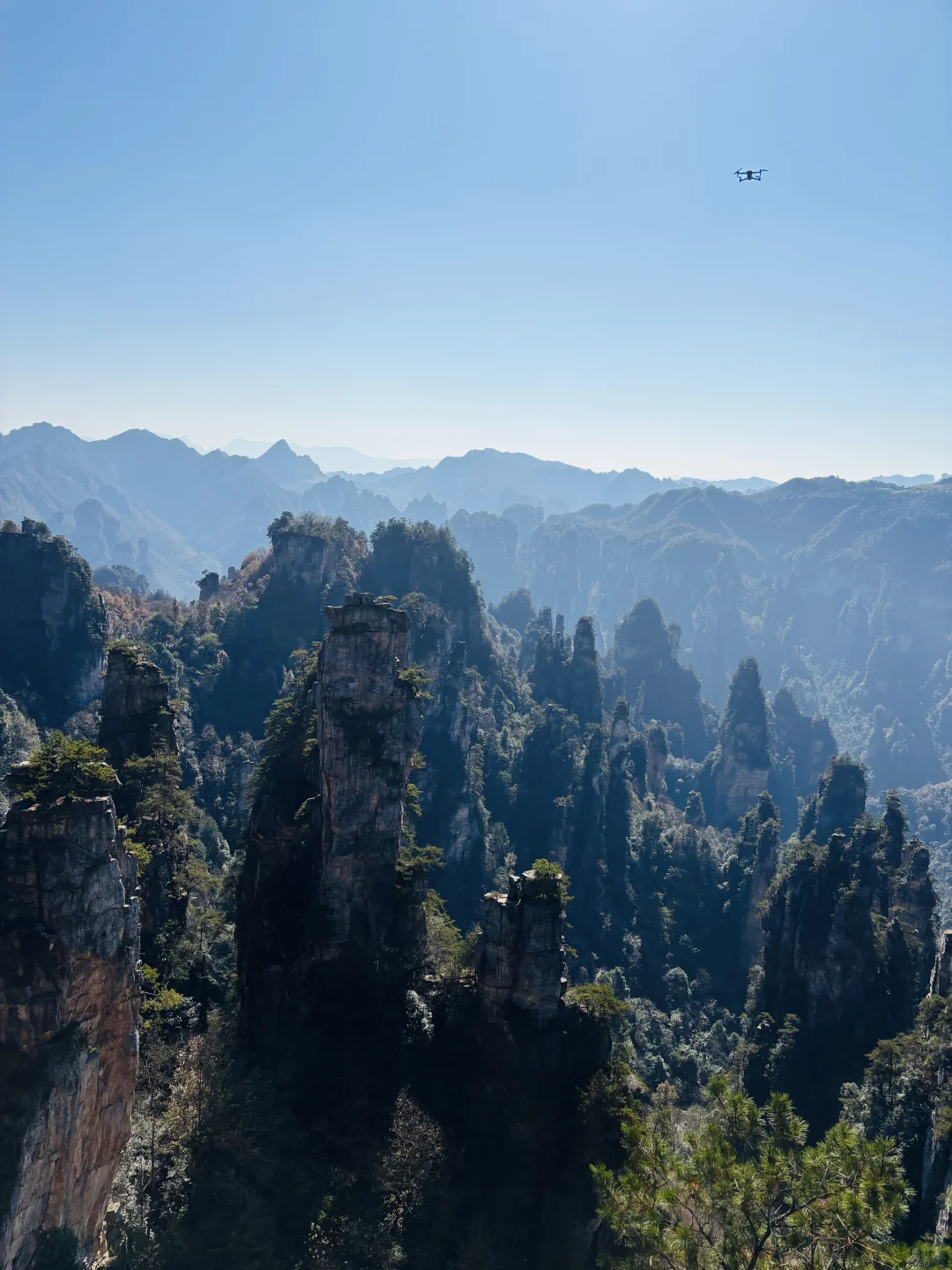 张家界森林公园11月22日现状⛰️天气很好