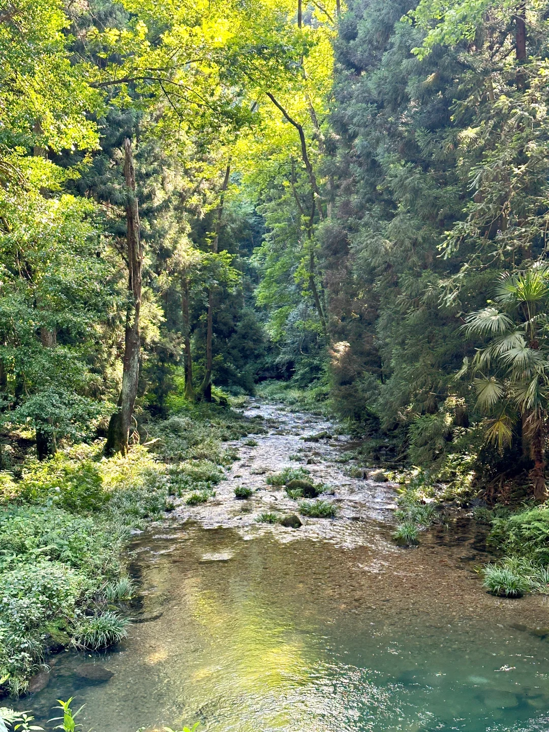 张家界森林公园保姆级攻略🏞️