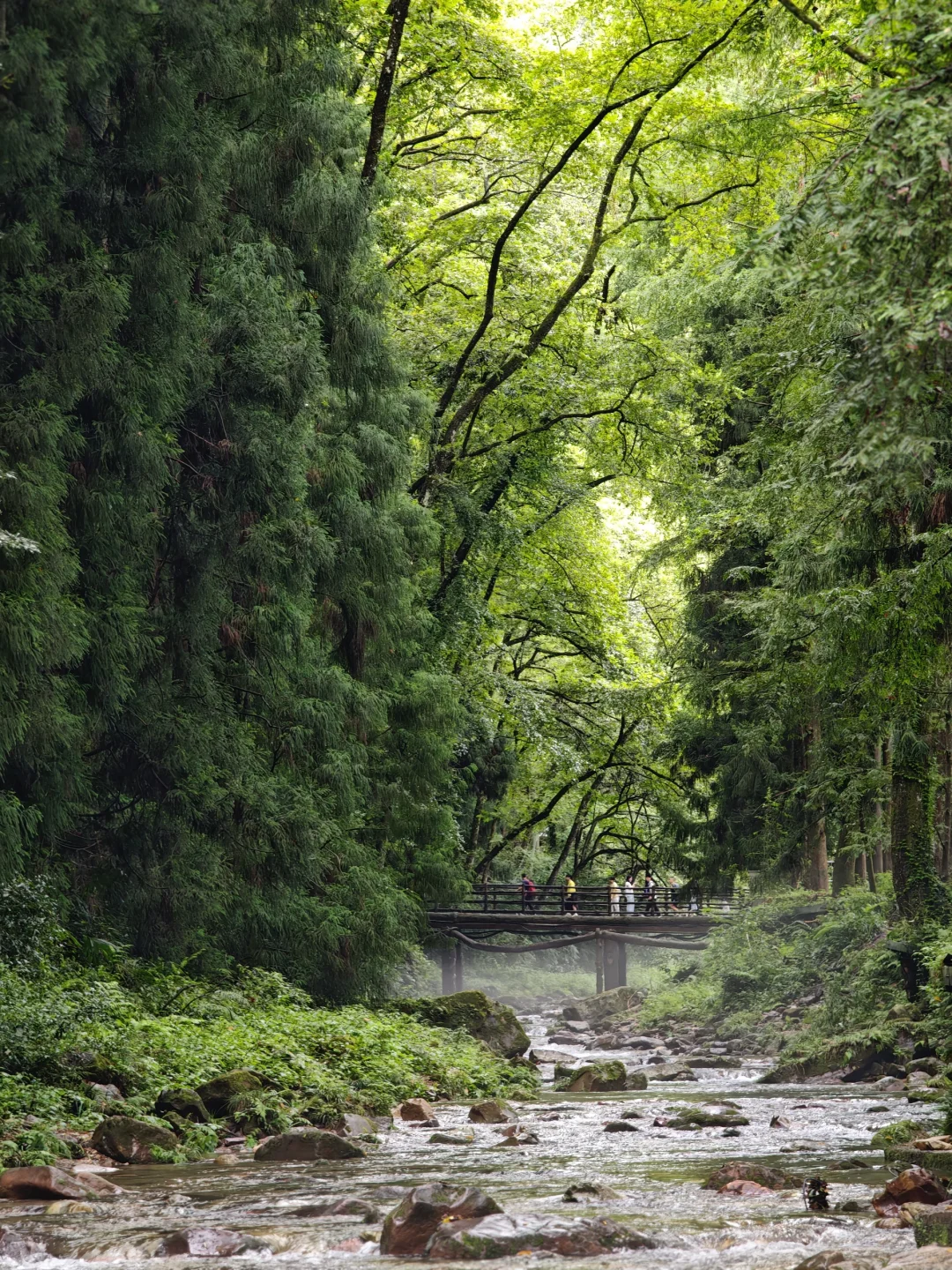 两日游玩张家界森林公园，反向拒绝人堵人