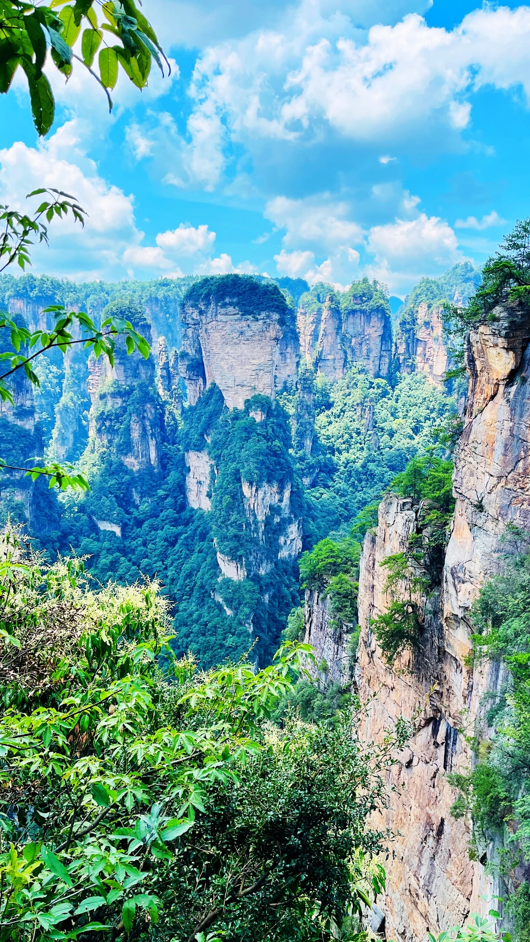 张家界|藏在仙境里的奇峰峻岭