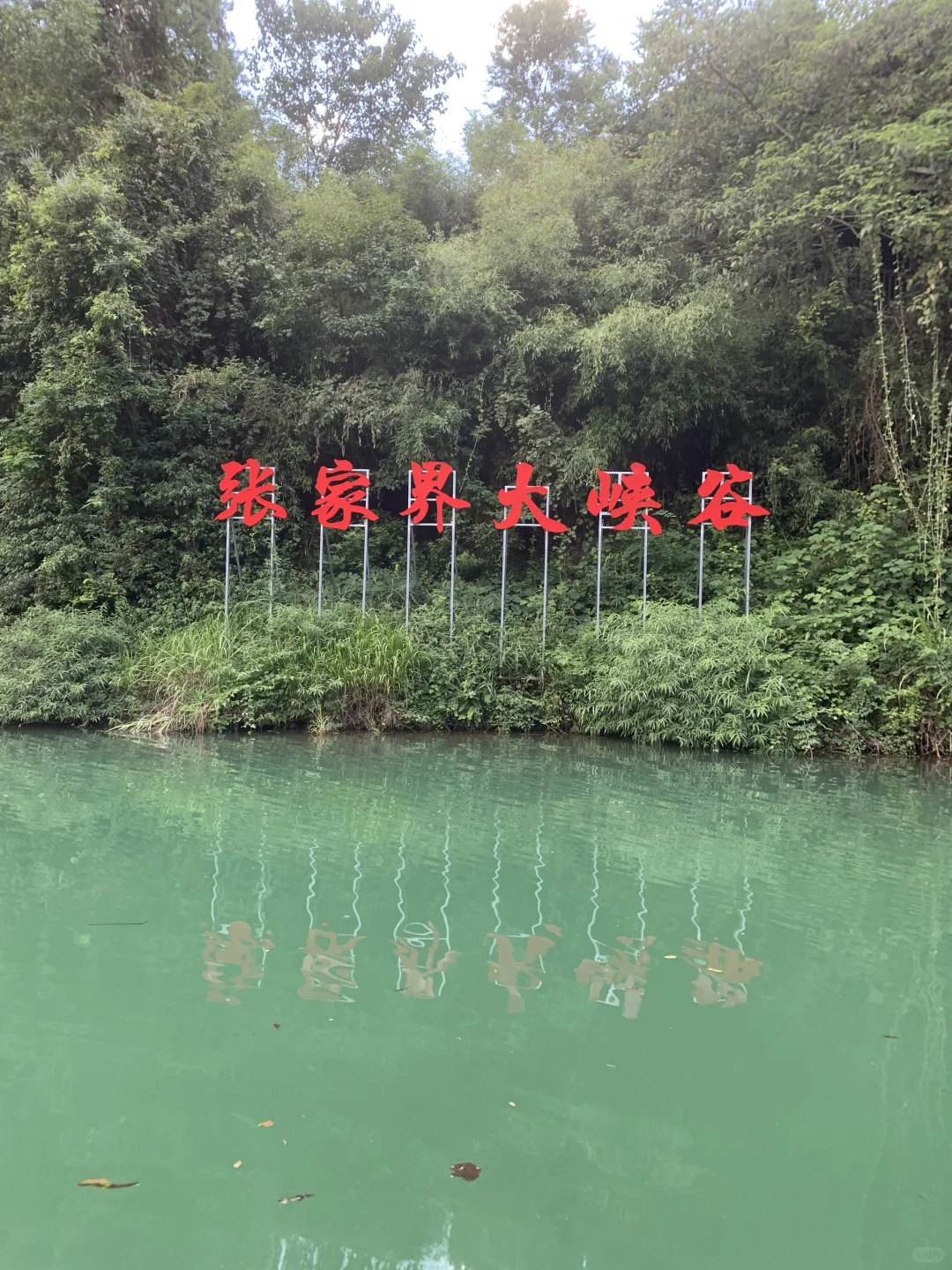 张家界大峡谷 | 神级live图