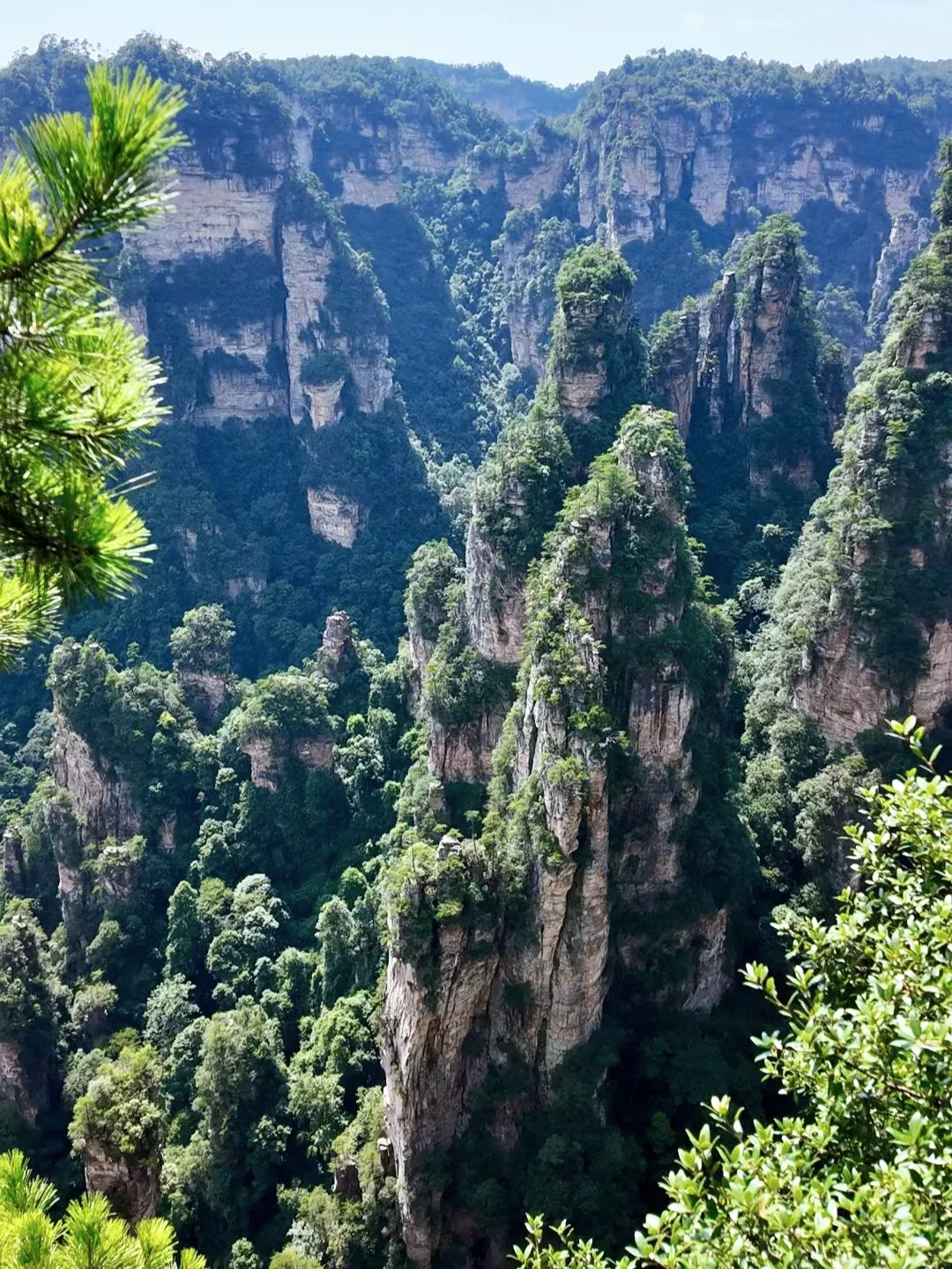 去了张家界武陵源，感觉其他山就不想去了