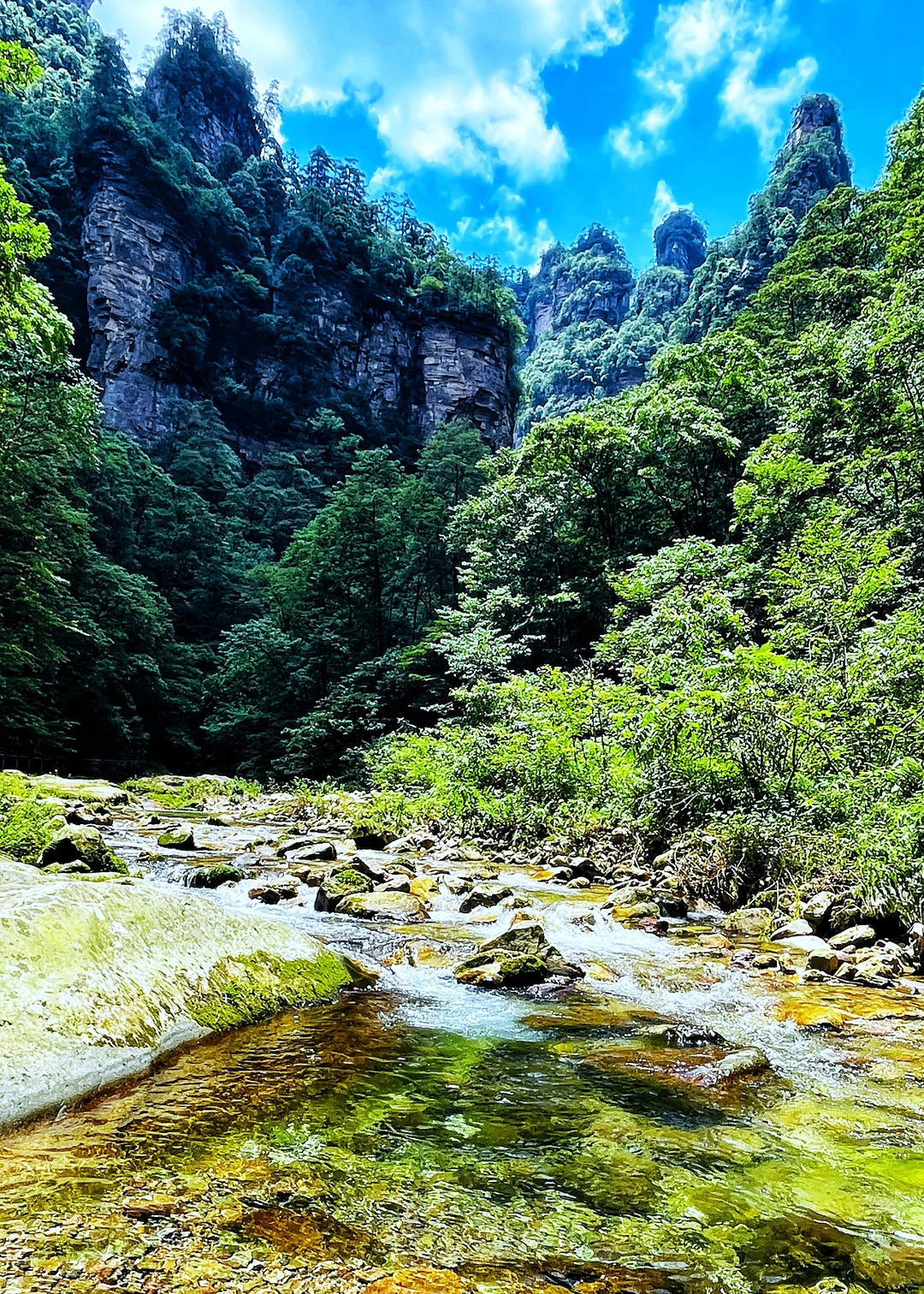 张家界|藏在仙境里的奇峰峻岭