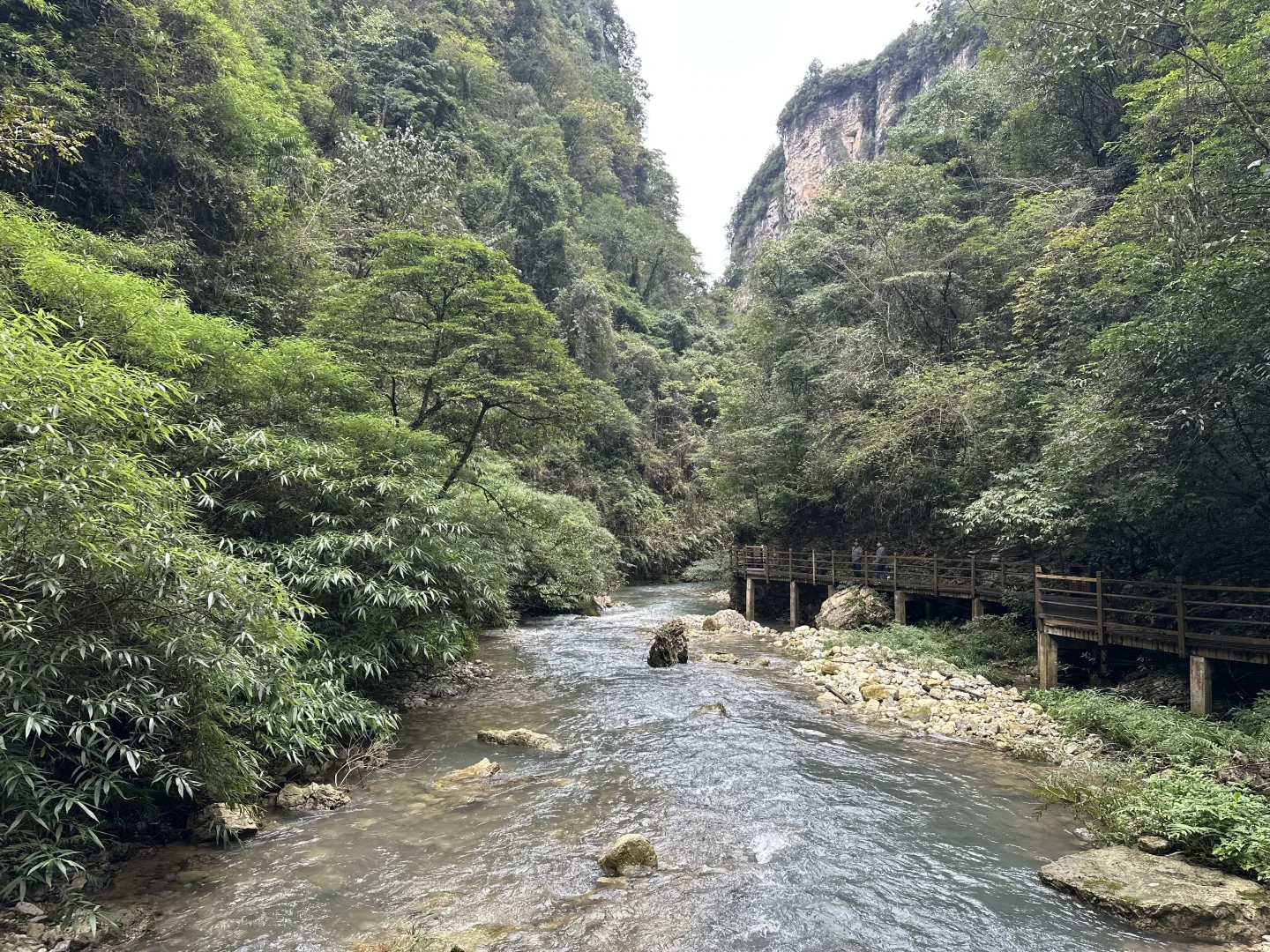 来到张家界，被挤到吵到还是能享受山的惊喜