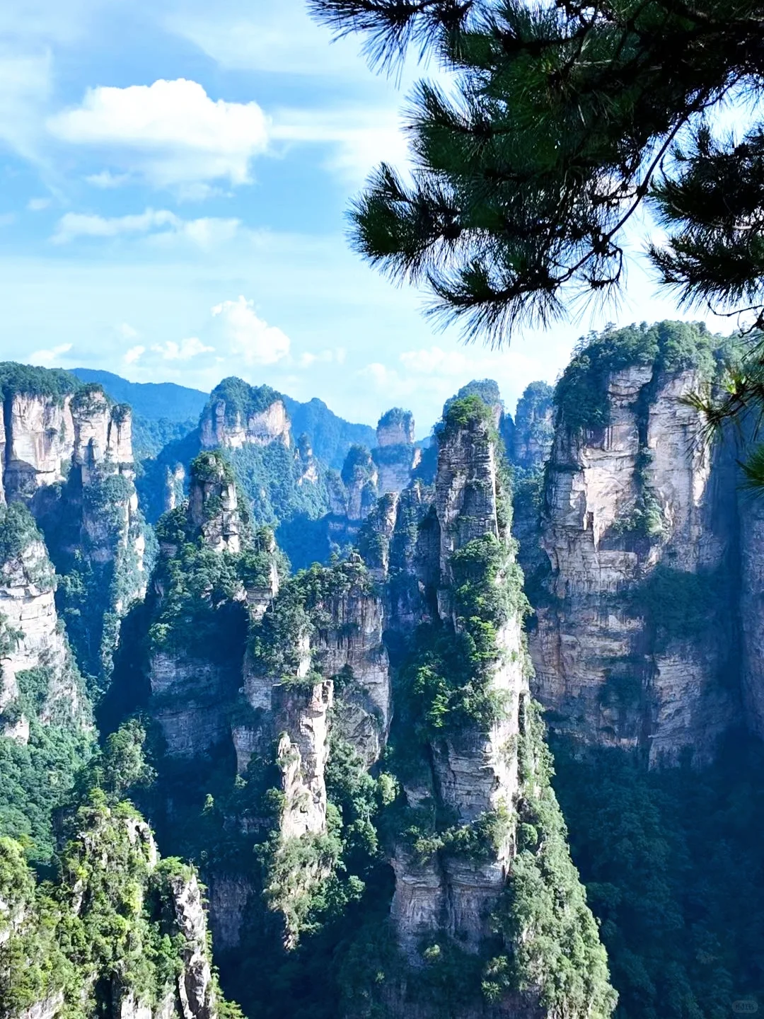 去了张家界武陵源，感觉其他山就不想去了