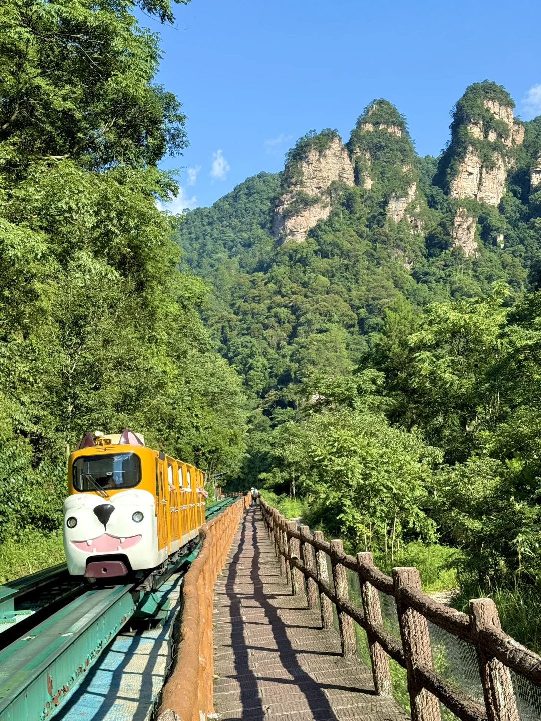 张家界4天3晚刚回！真心提醒还未出行的😓……