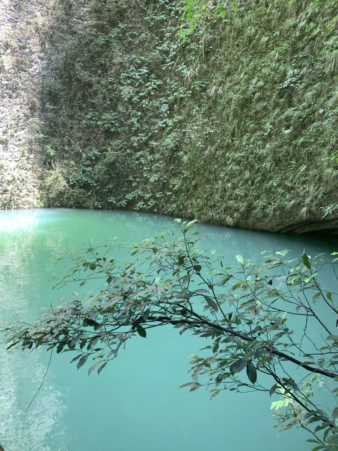 张家界大峡谷 | 神级live图