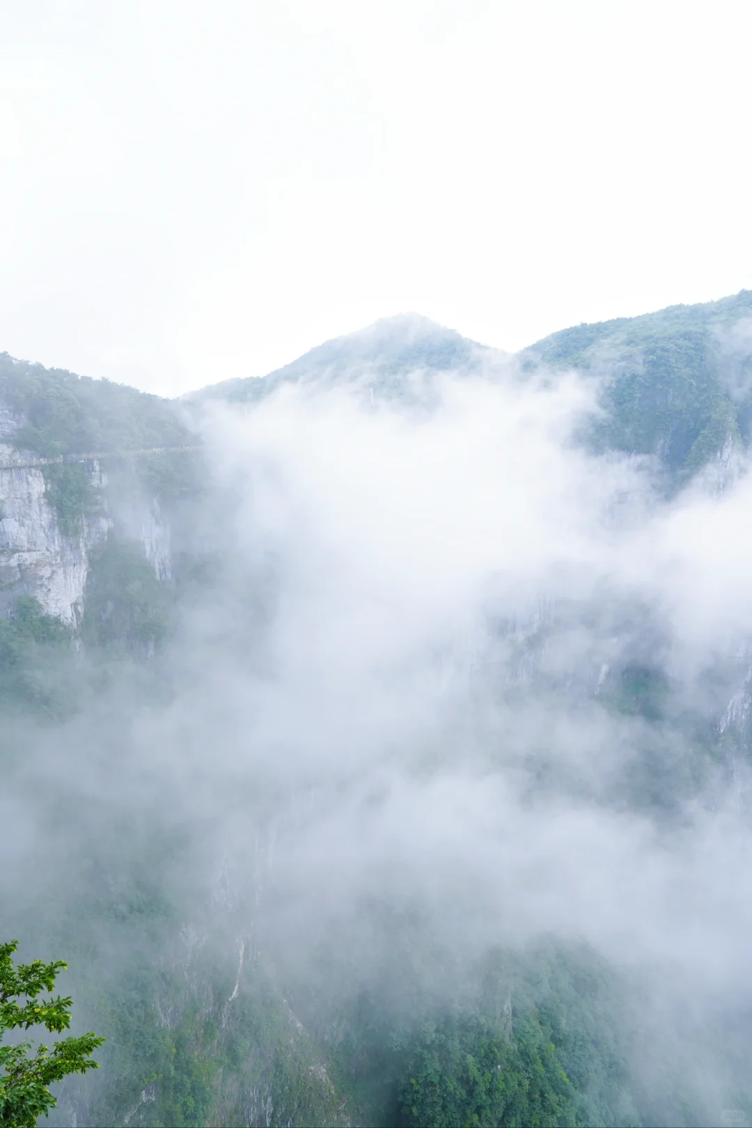 张家界天门山 坐A线索道才能值回票价！！！