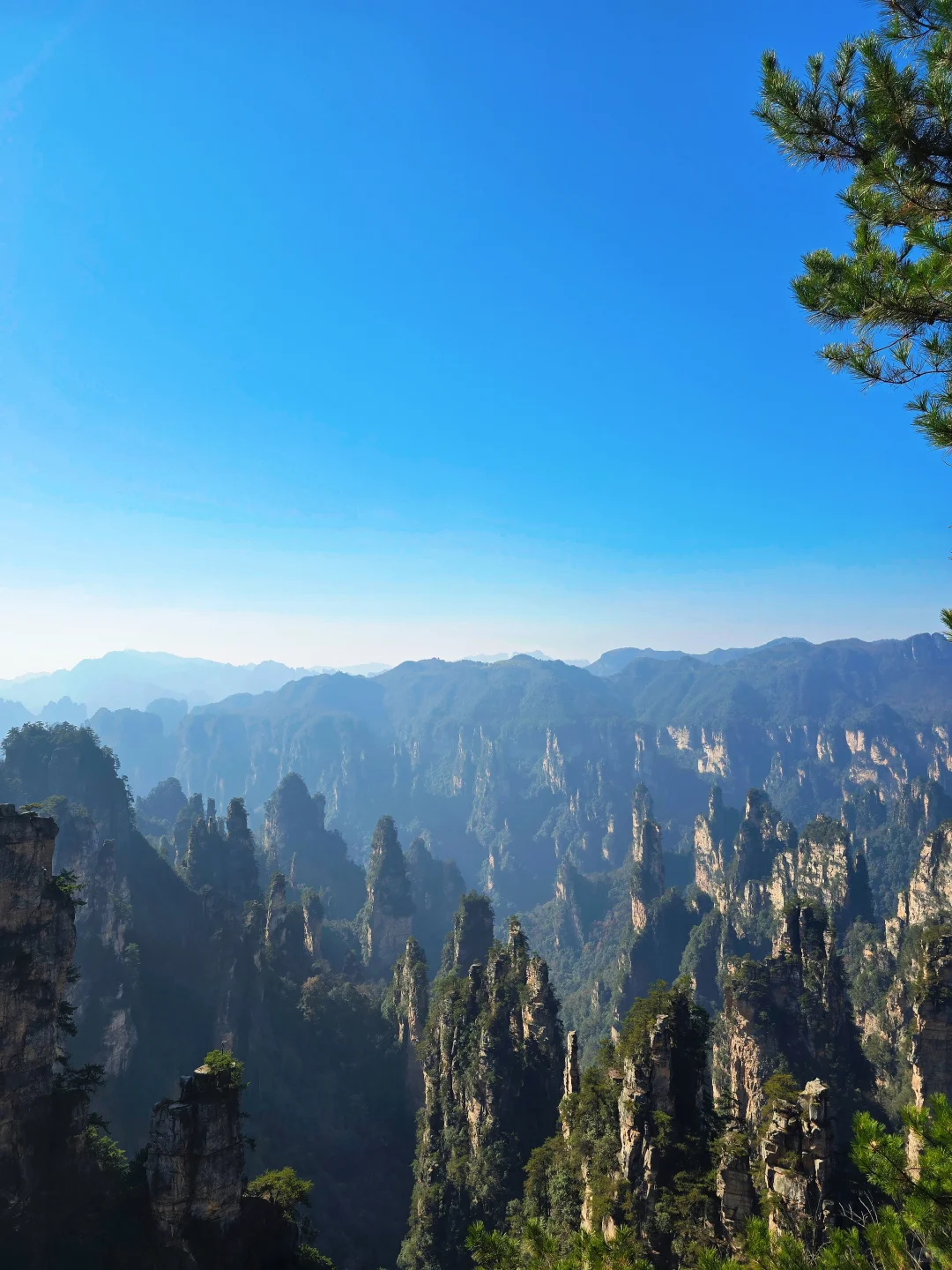 12.6日张家界国家森林公园实况