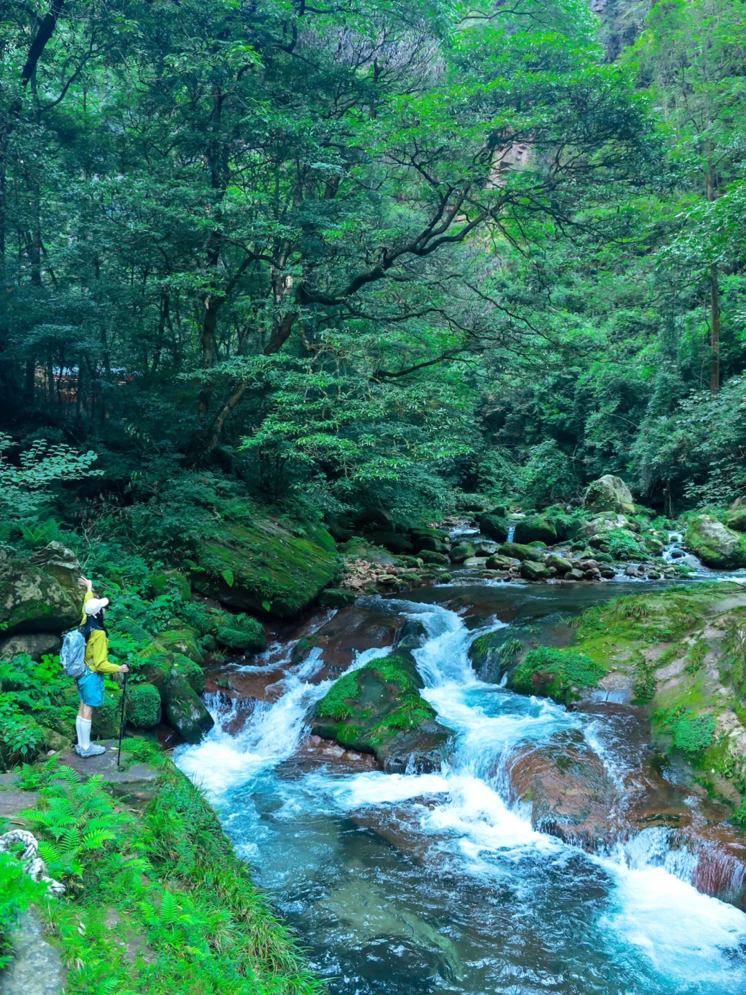 张家界4天3晚刚回！真心提醒还未出行的😓……
