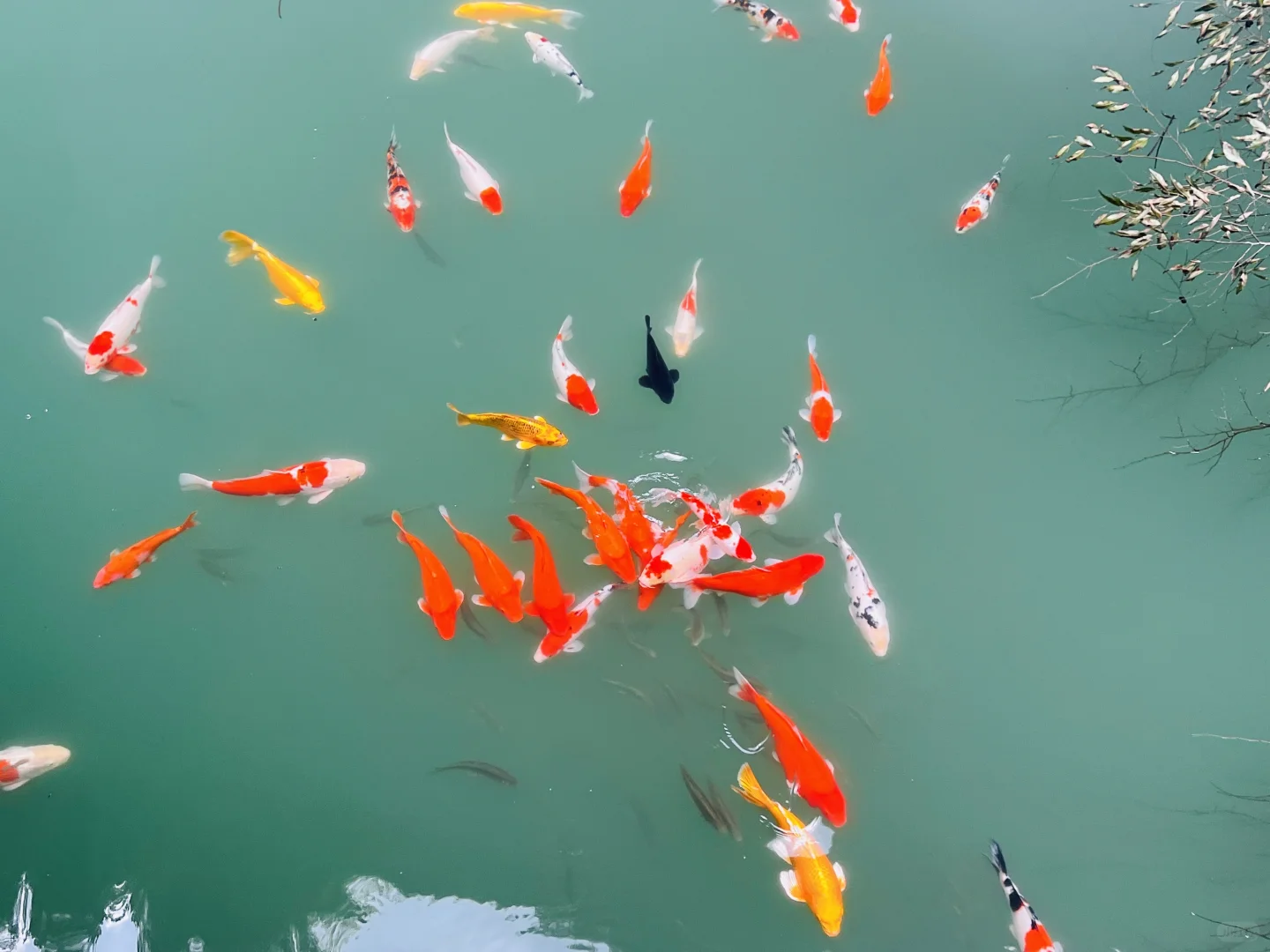 🌿张家界大峡谷｜被低估的治愈系秘境🫧