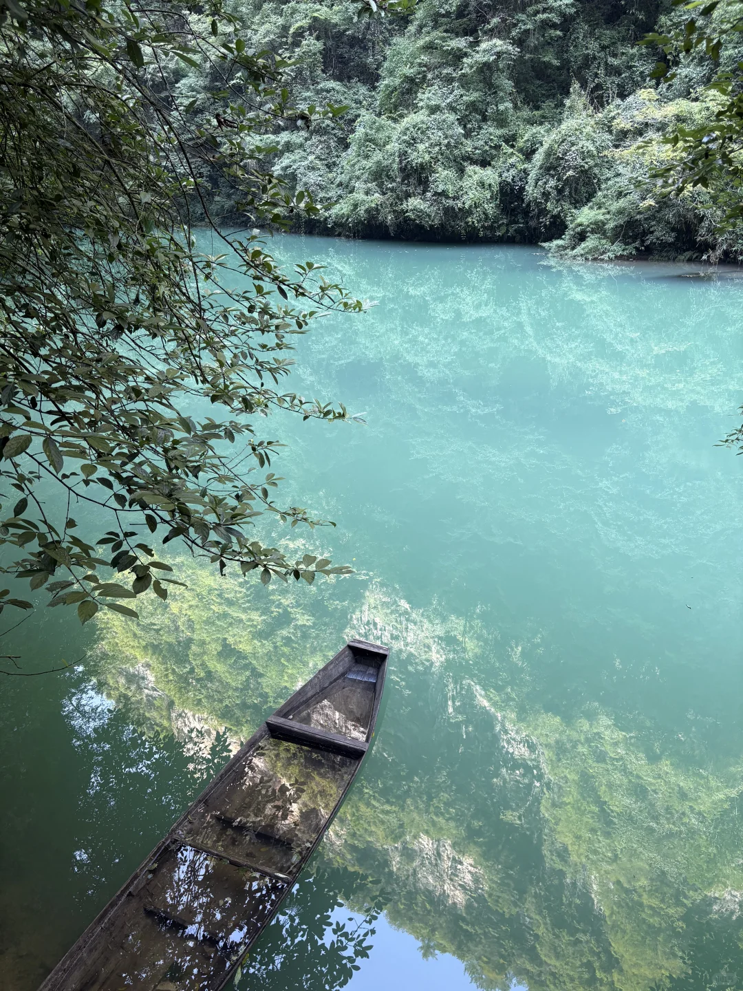 2025暑期游－张家界大峡谷