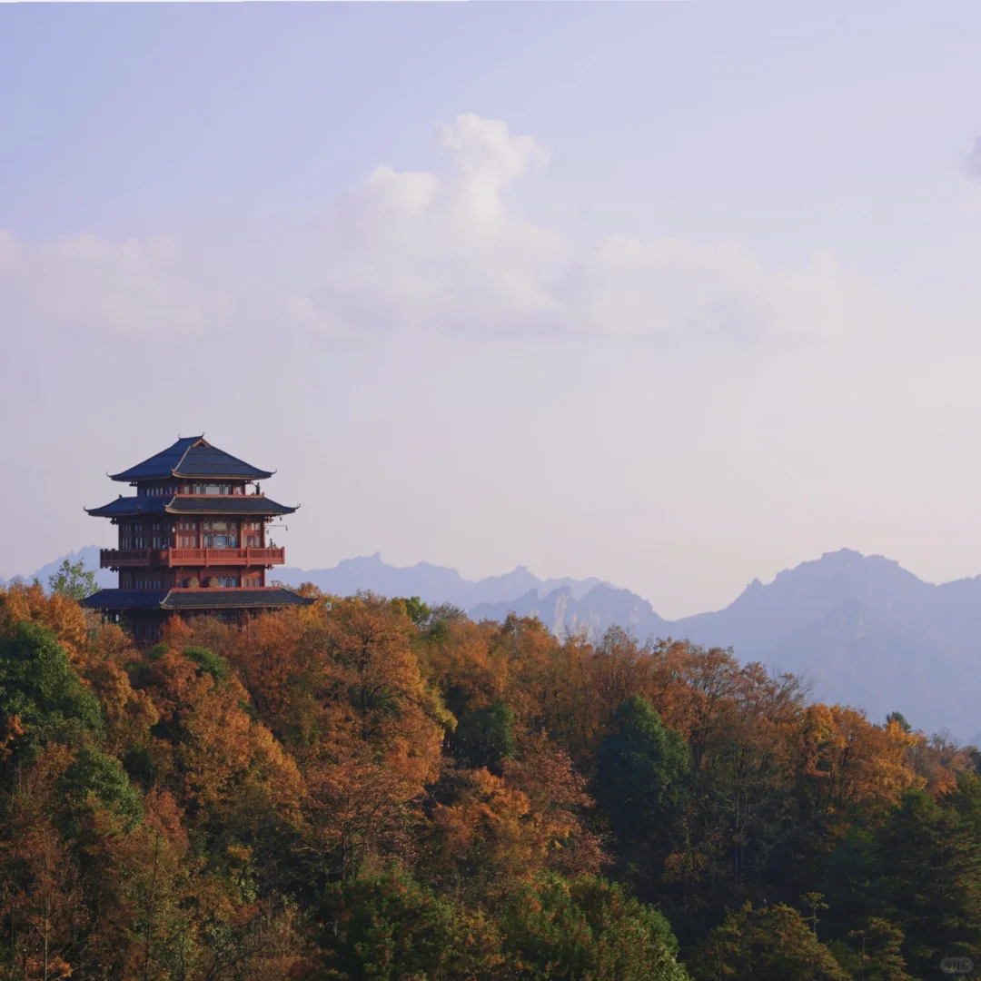 张家界的深秋绝美啊～