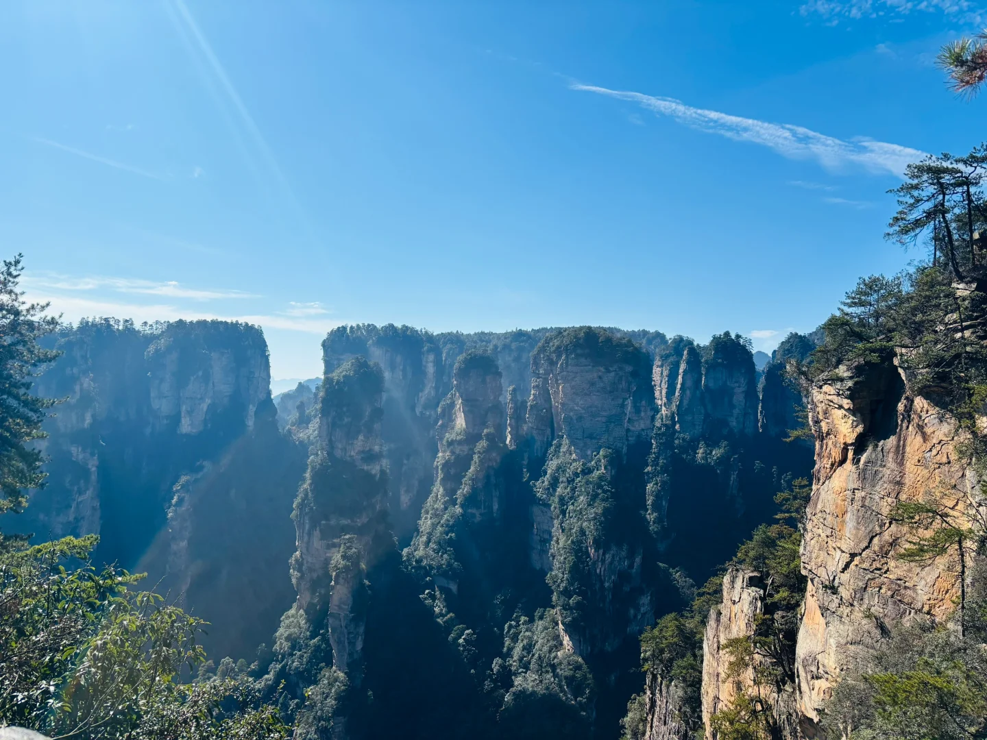 张家界森林公园11月22日现状⛰️天气很好