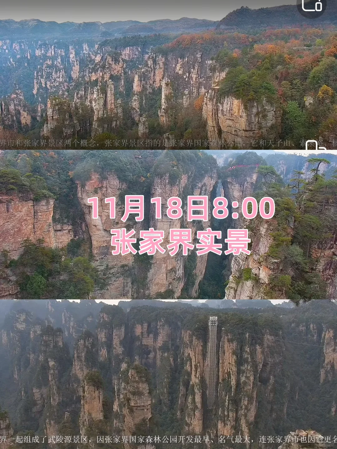 11月18日张家界景区实况