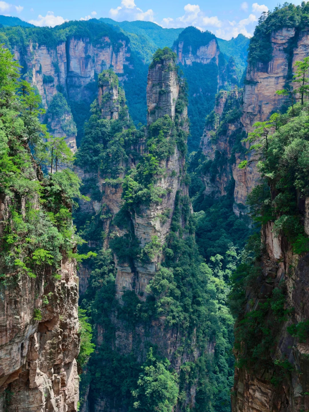 张家界4天3晚刚回！真心提醒还未出行的😓……