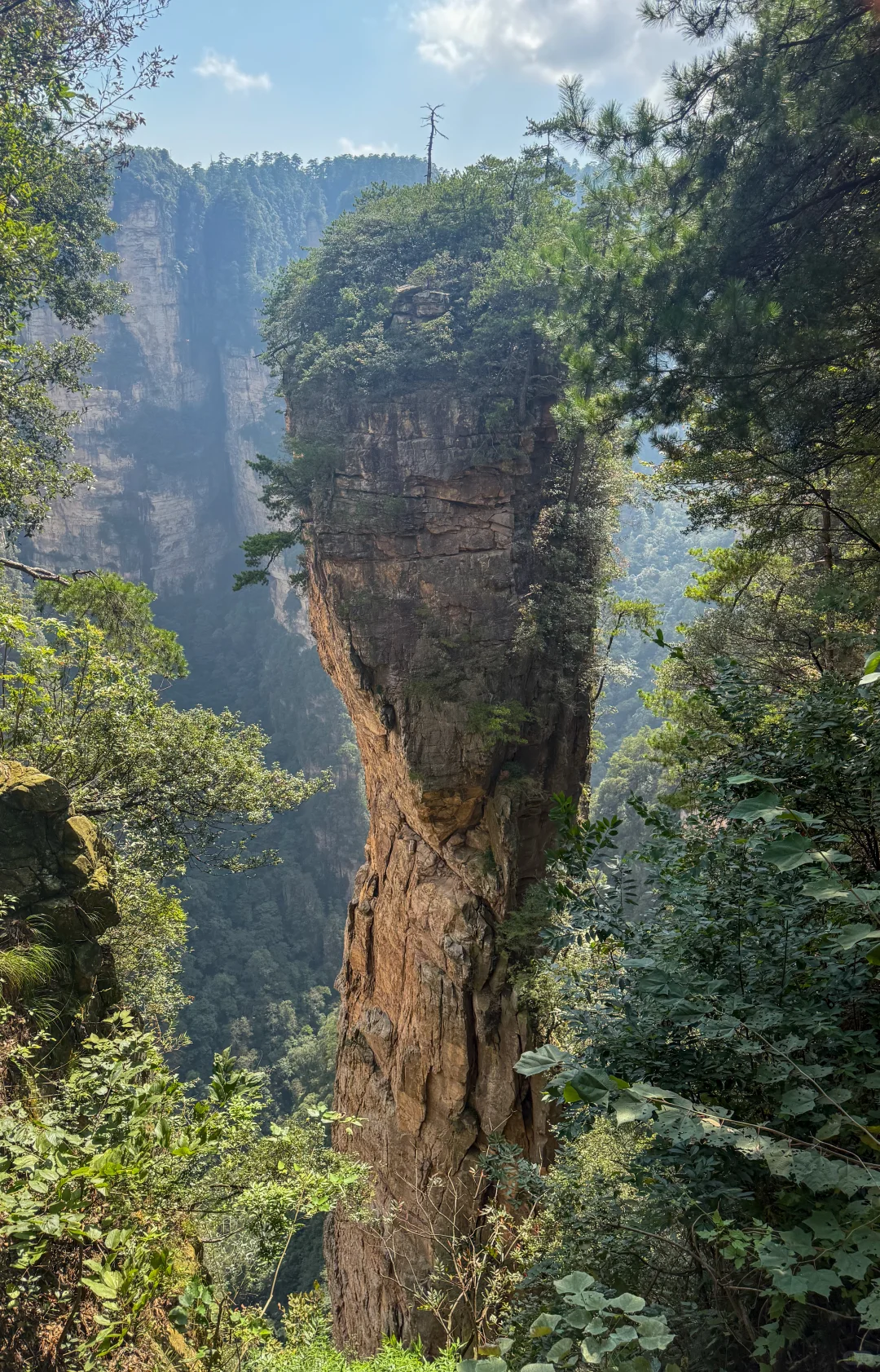 张家界国家森林公园 黄石寨徒步上下