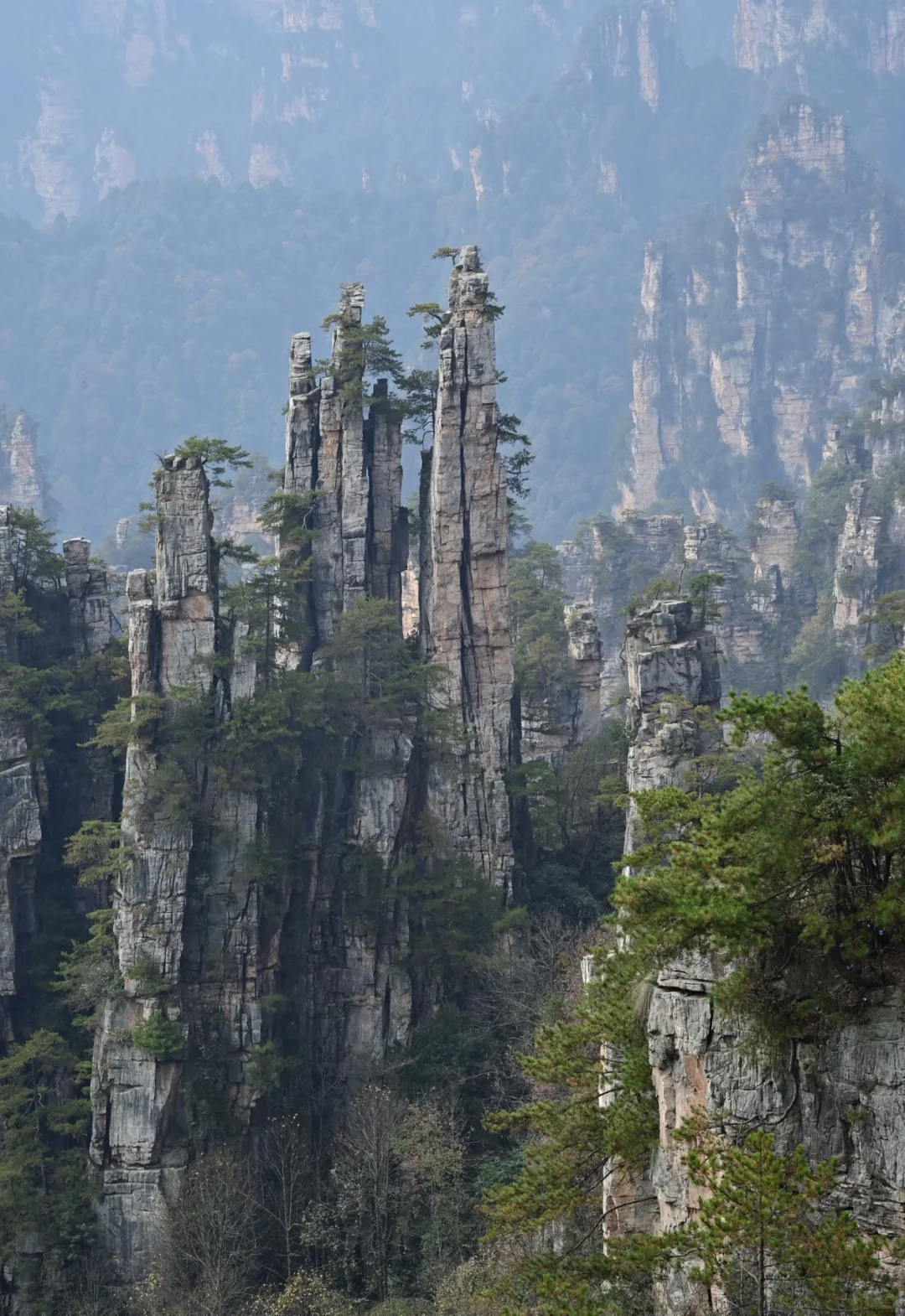 张家界国家森林公园⛰️阿凡达取景地