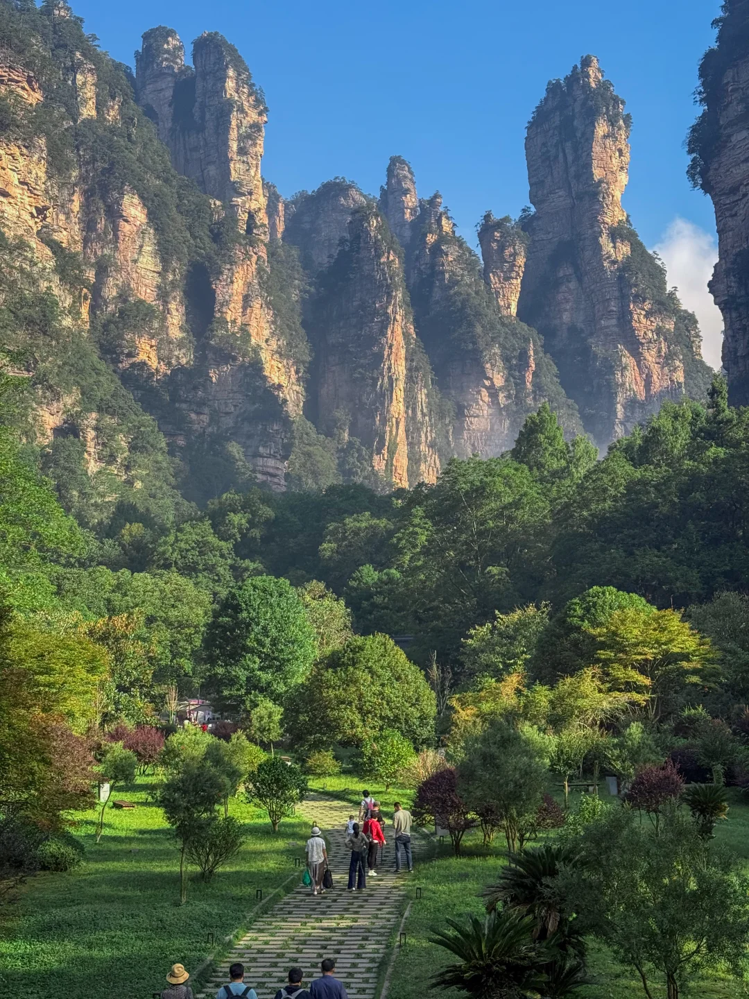 张家界国家森林公园 黄石寨徒步上下