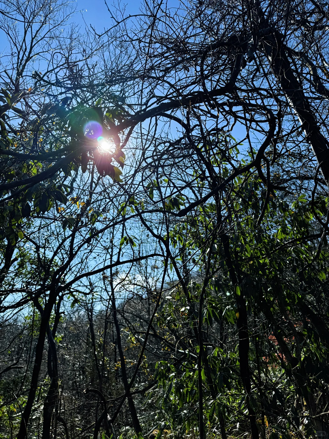 📍张家界 ▏天门山（附淡季攻略）