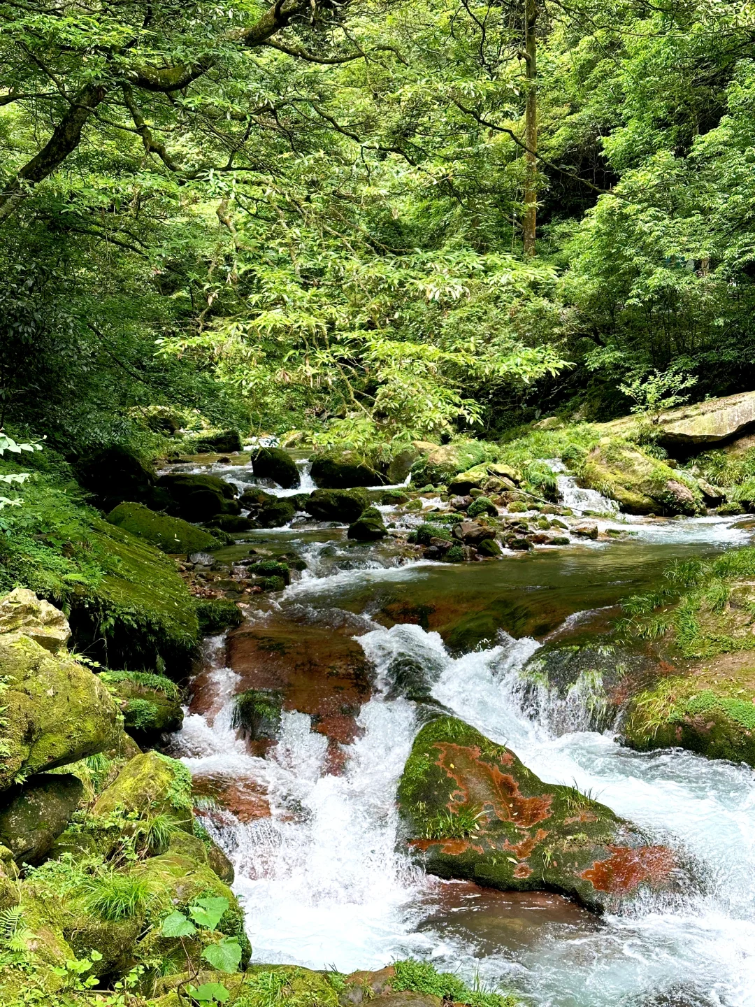 张家界森林公园保姆级攻略🏞️