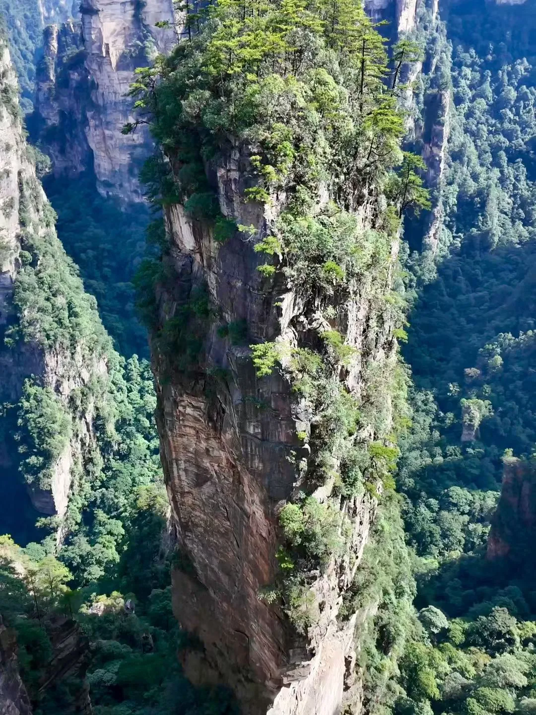 去了张家界武陵源，感觉其他山就不想去了