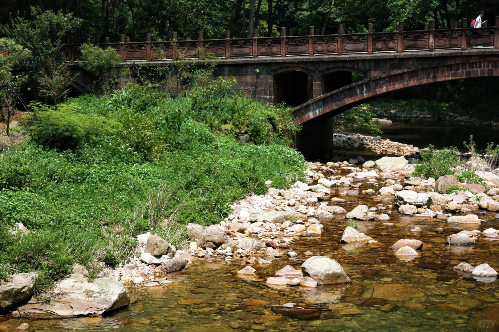 张家界已回，猛猛避雷！！！