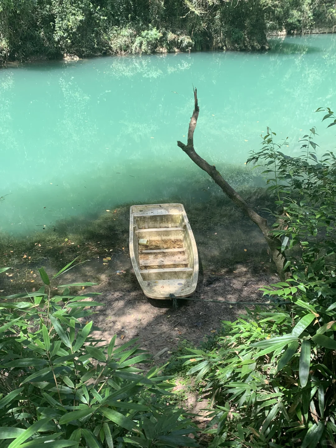 张家界大峡谷 | 神级live图