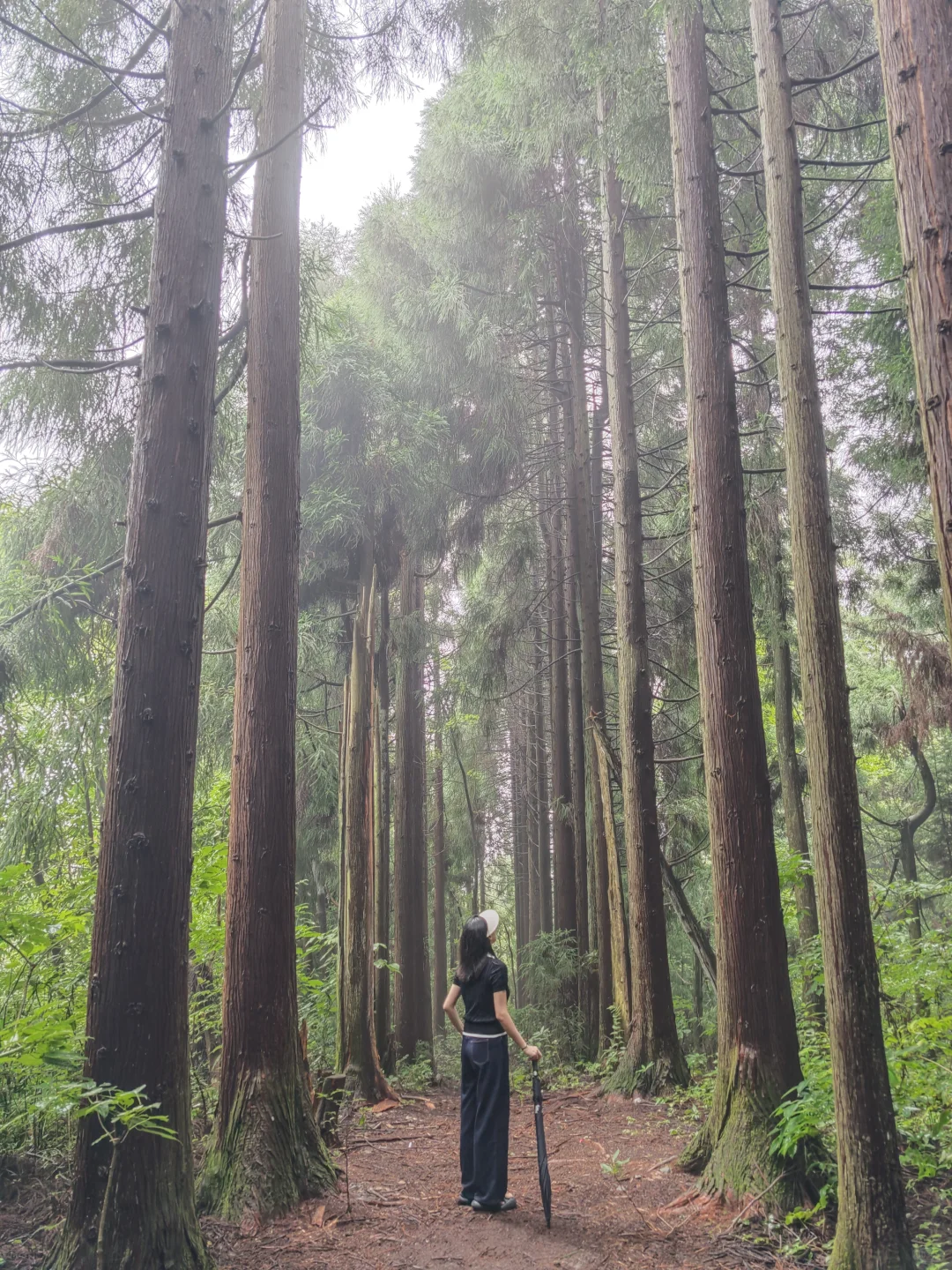 两日游玩张家界森林公园，反向拒绝人堵人