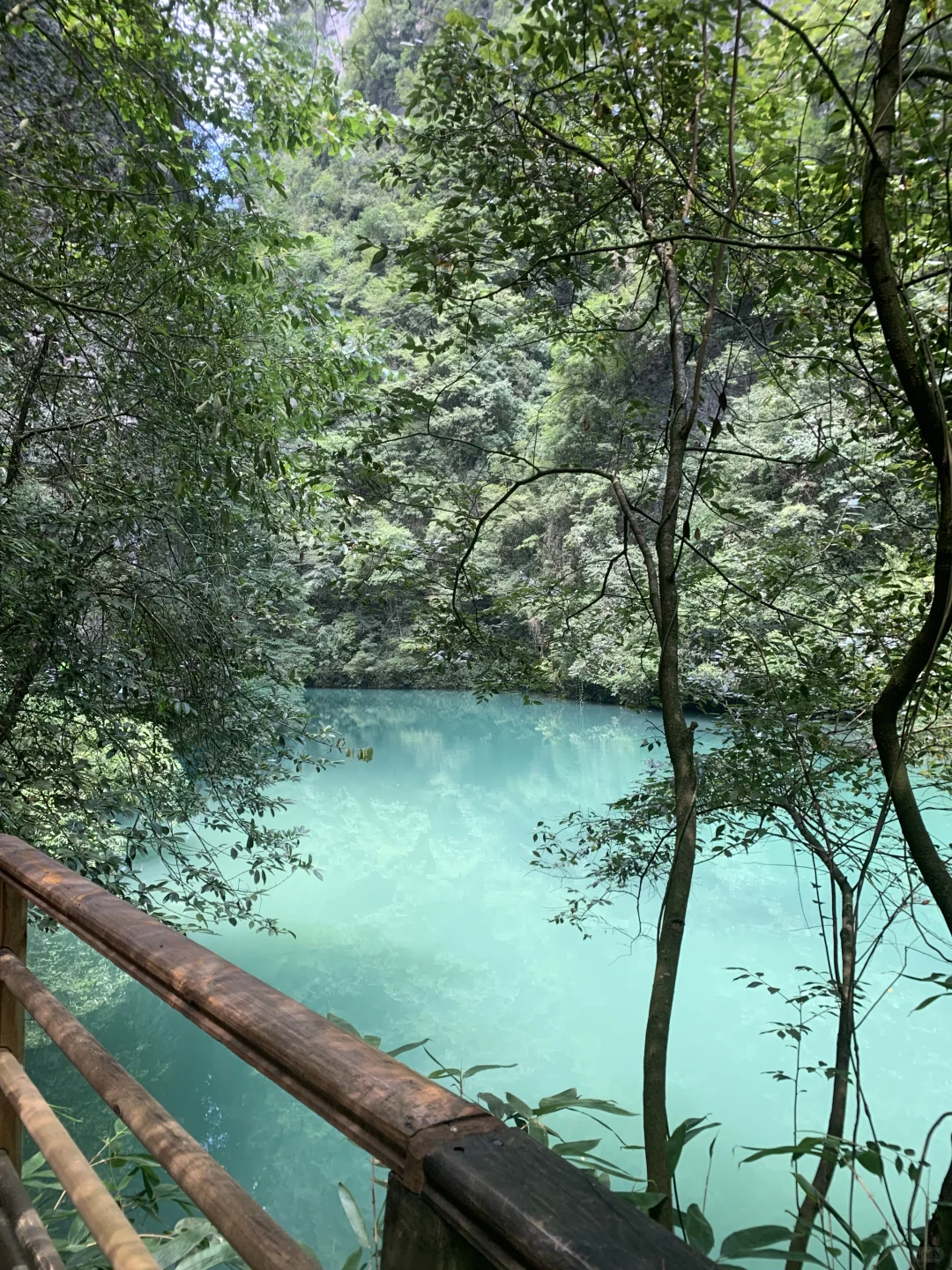 张家界大峡谷 | 神级live图