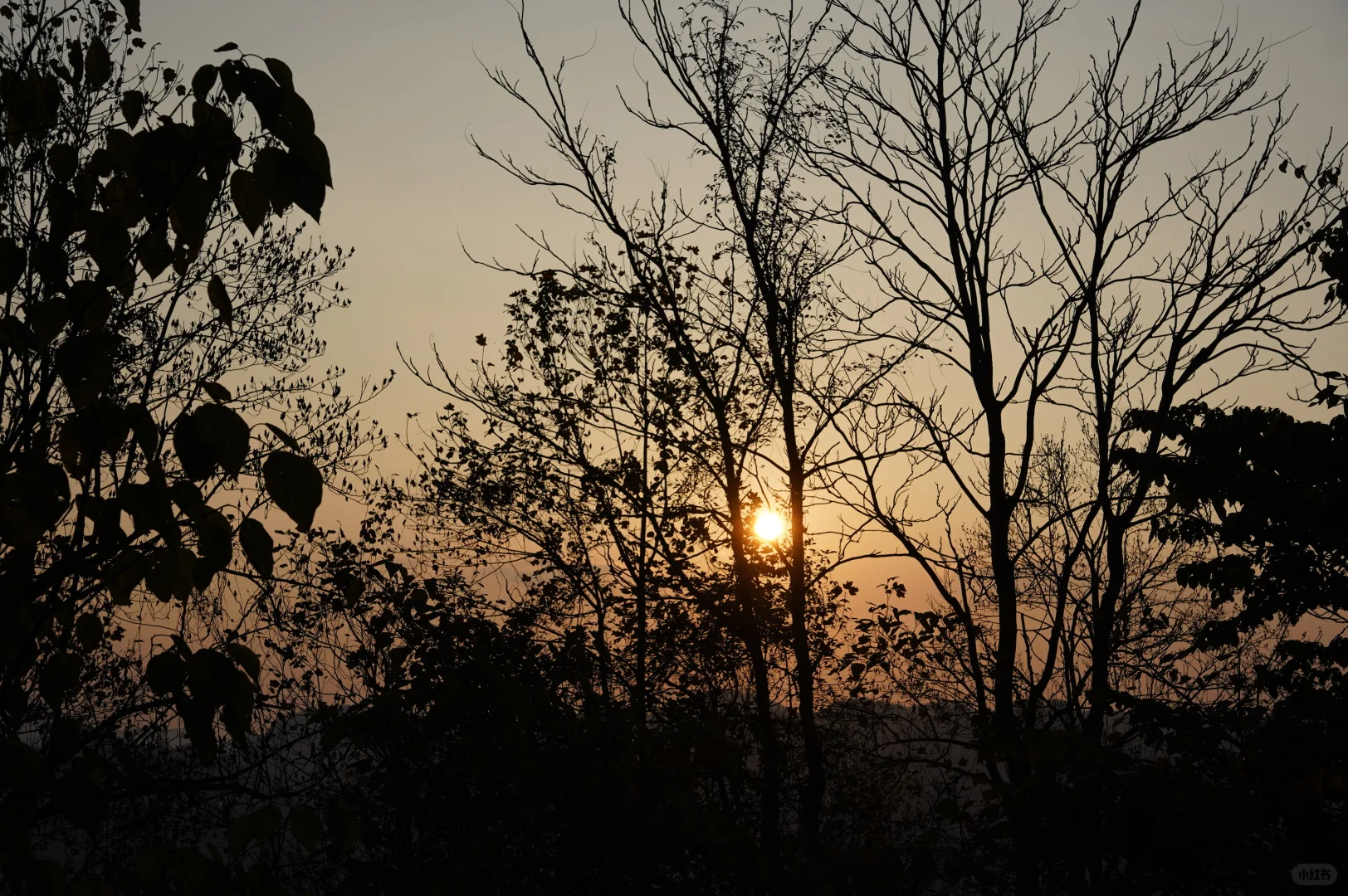 张家界的深秋绝美啊～