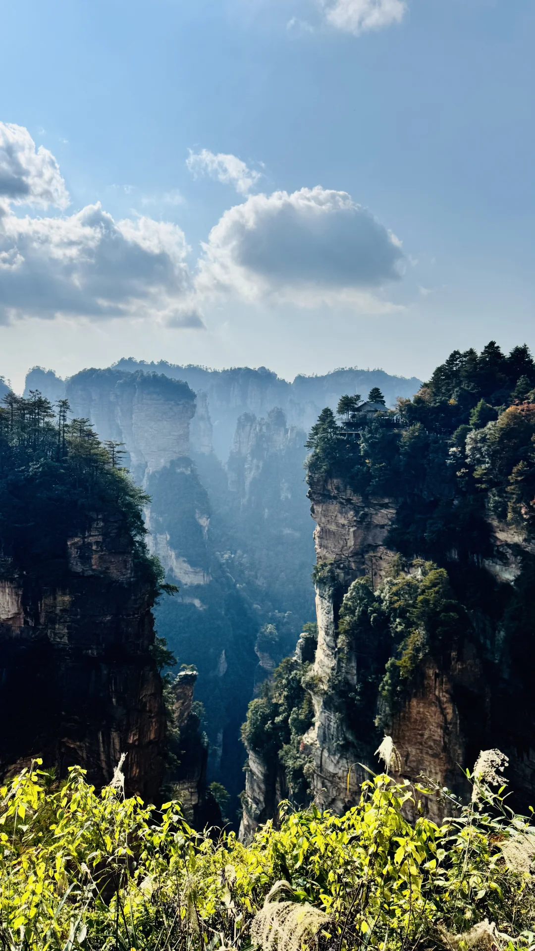 张家界的深秋绝美啊～