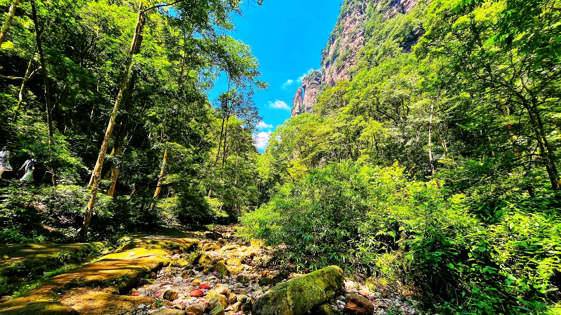 张家界|藏在仙境里的奇峰峻岭