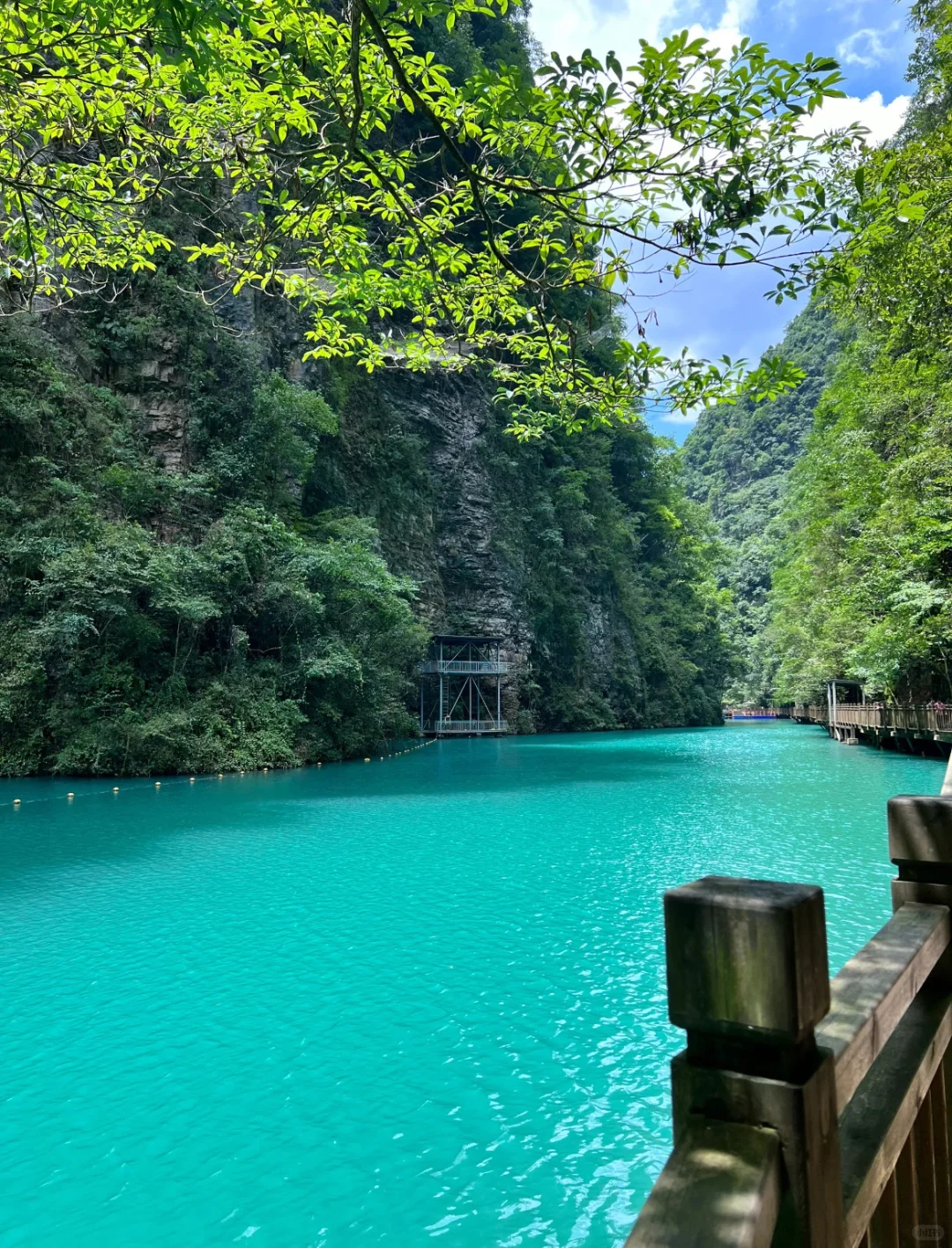 🌿张家界大峡谷｜被低估的治愈系秘境🫧