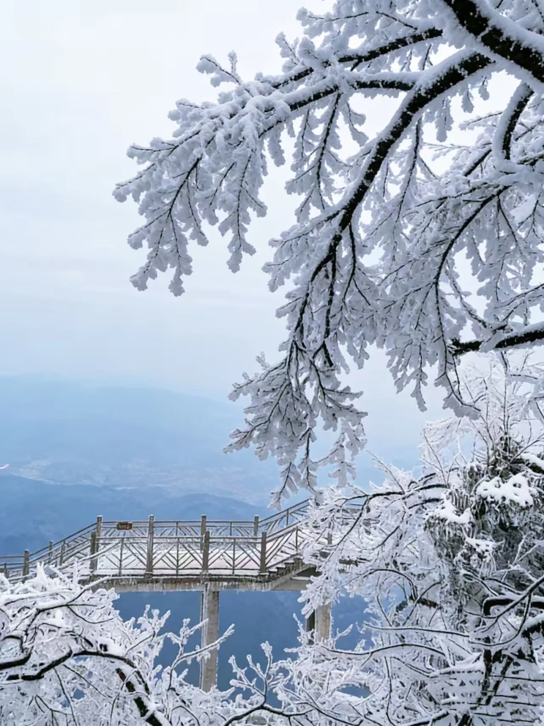 2025张家界冬雪实录❄️两天一夜沉浸式玩雪