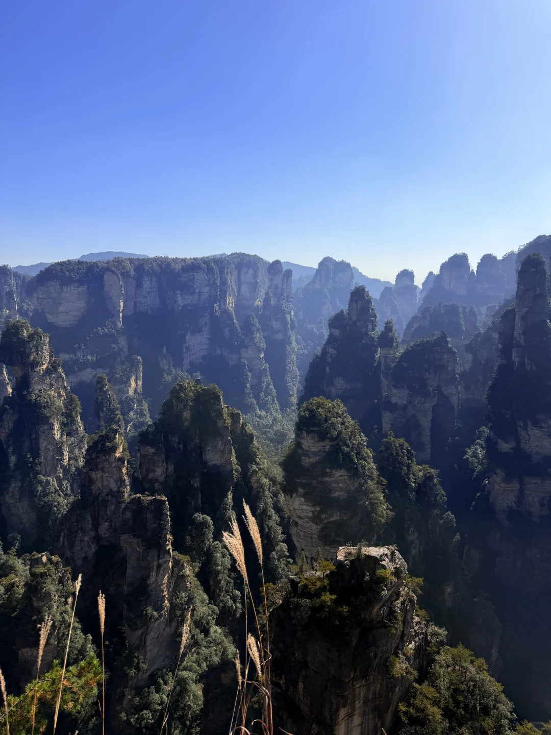 张家界国家森林公园⛰️阿凡达取景地