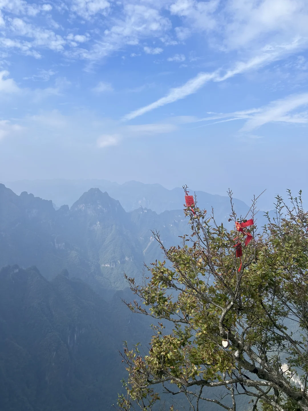 今天的张家界天门山也太好看了吧～
